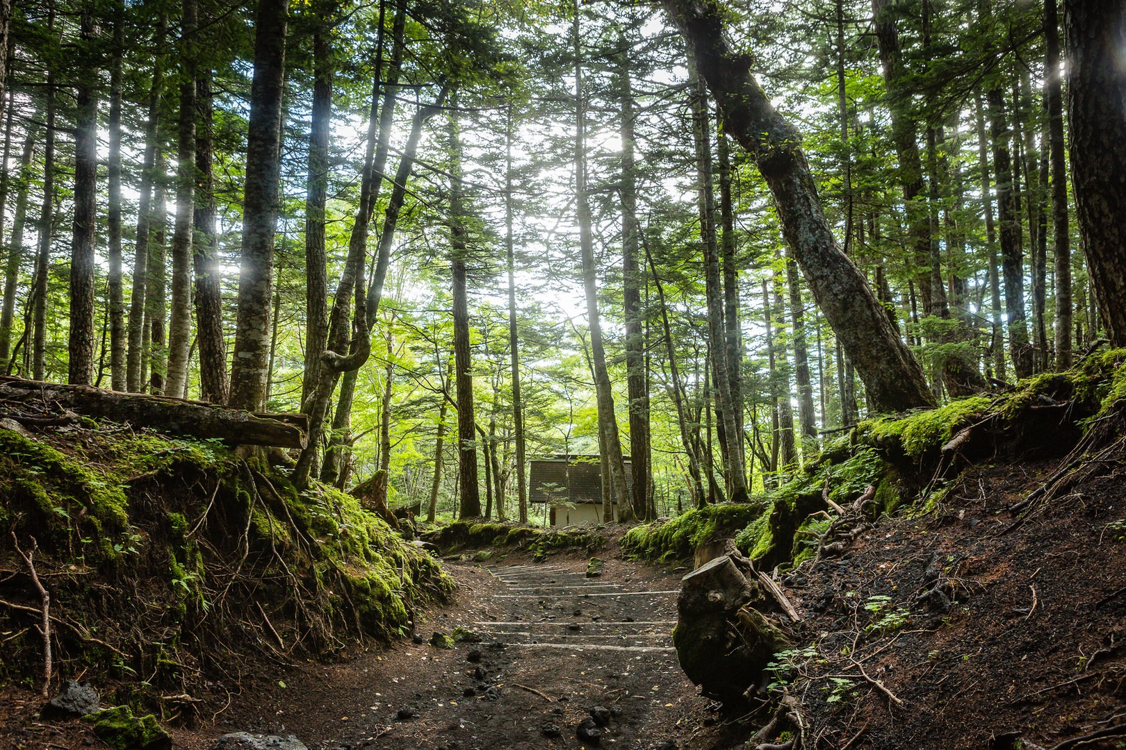 Mount Fuji via Subashiri Trail | Outdoor Project