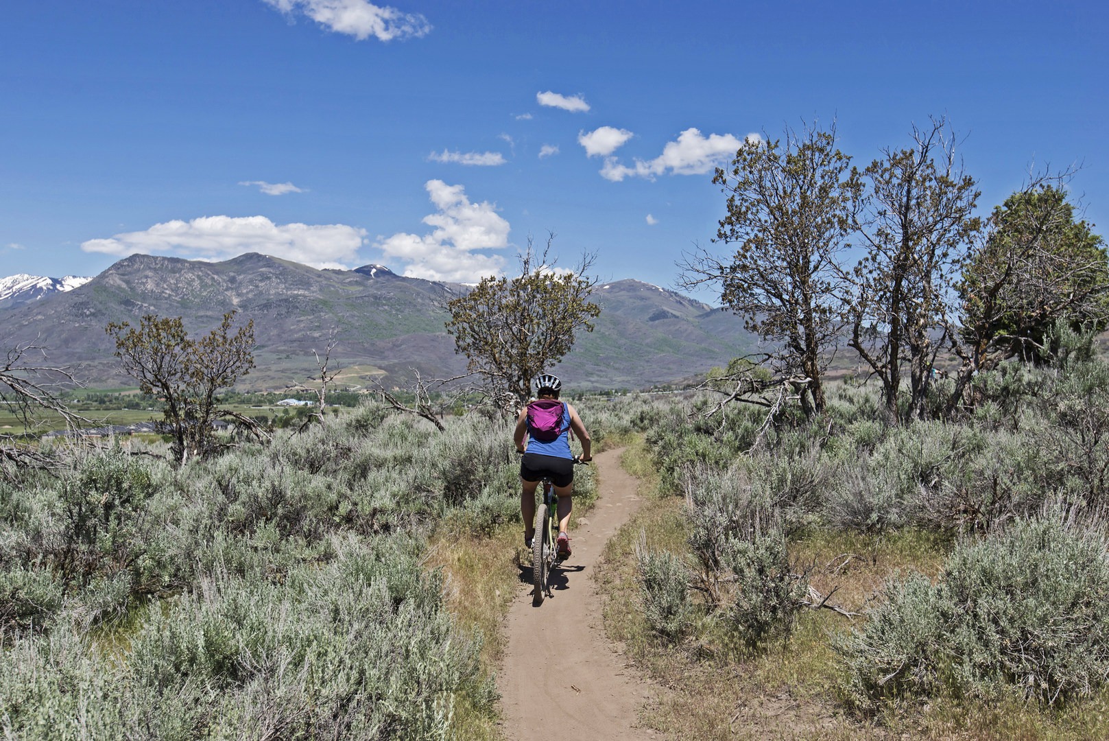 coyote hills regional park bike trail