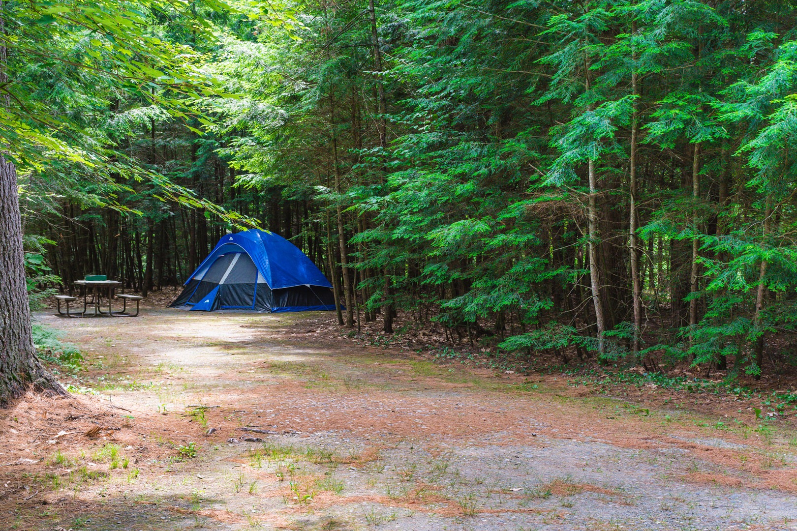 Quechee State Park Campground | Outdoor Project