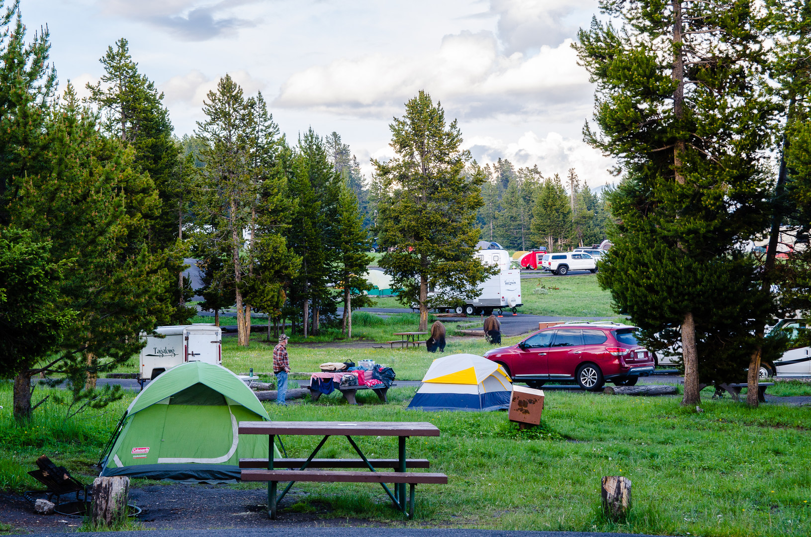 Bridge Bay Campground Outdoor Project