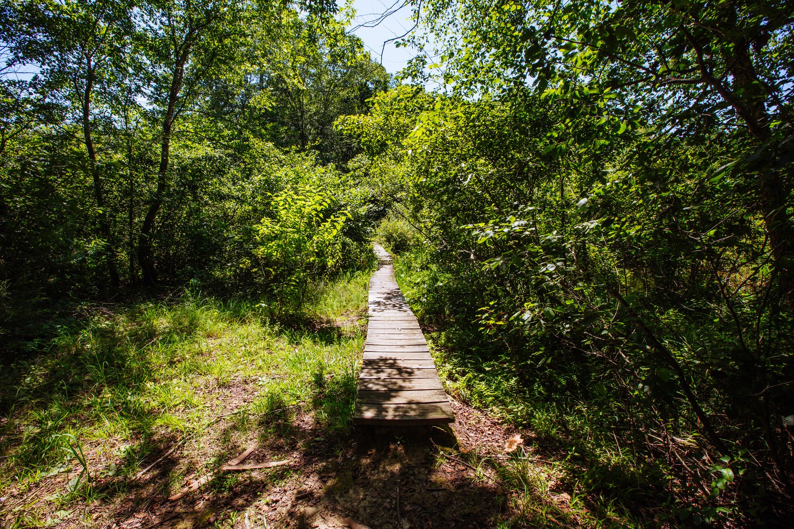 Wall Doxey State Park Campground Outdoor Project