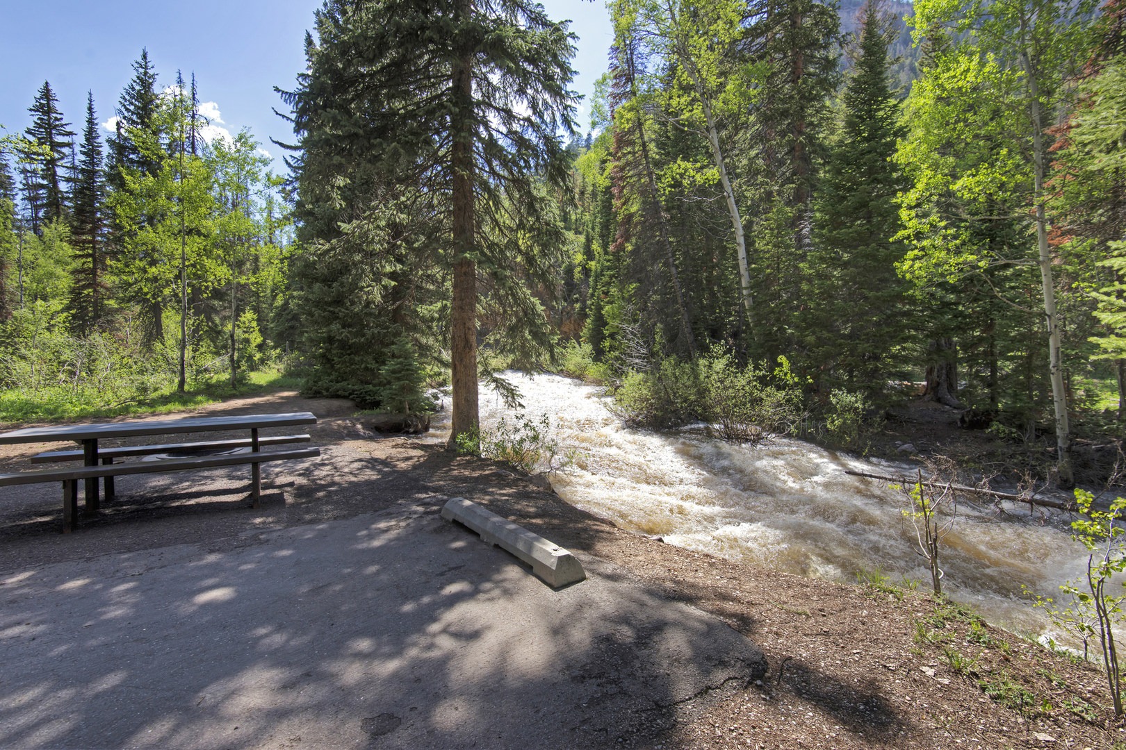 Ledgefork Campground Outdoor Project