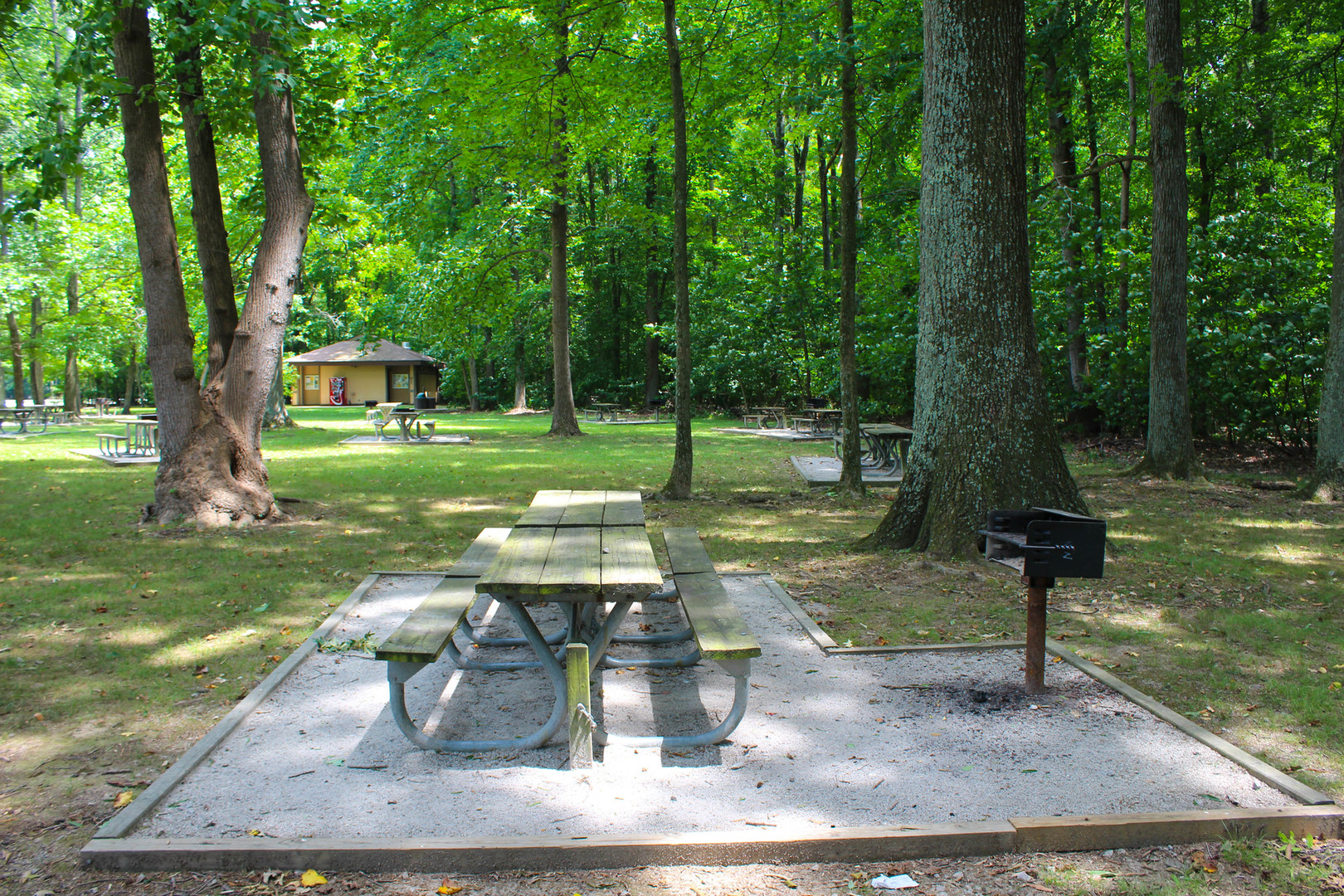 Mason Neck State Park Outdoor Project