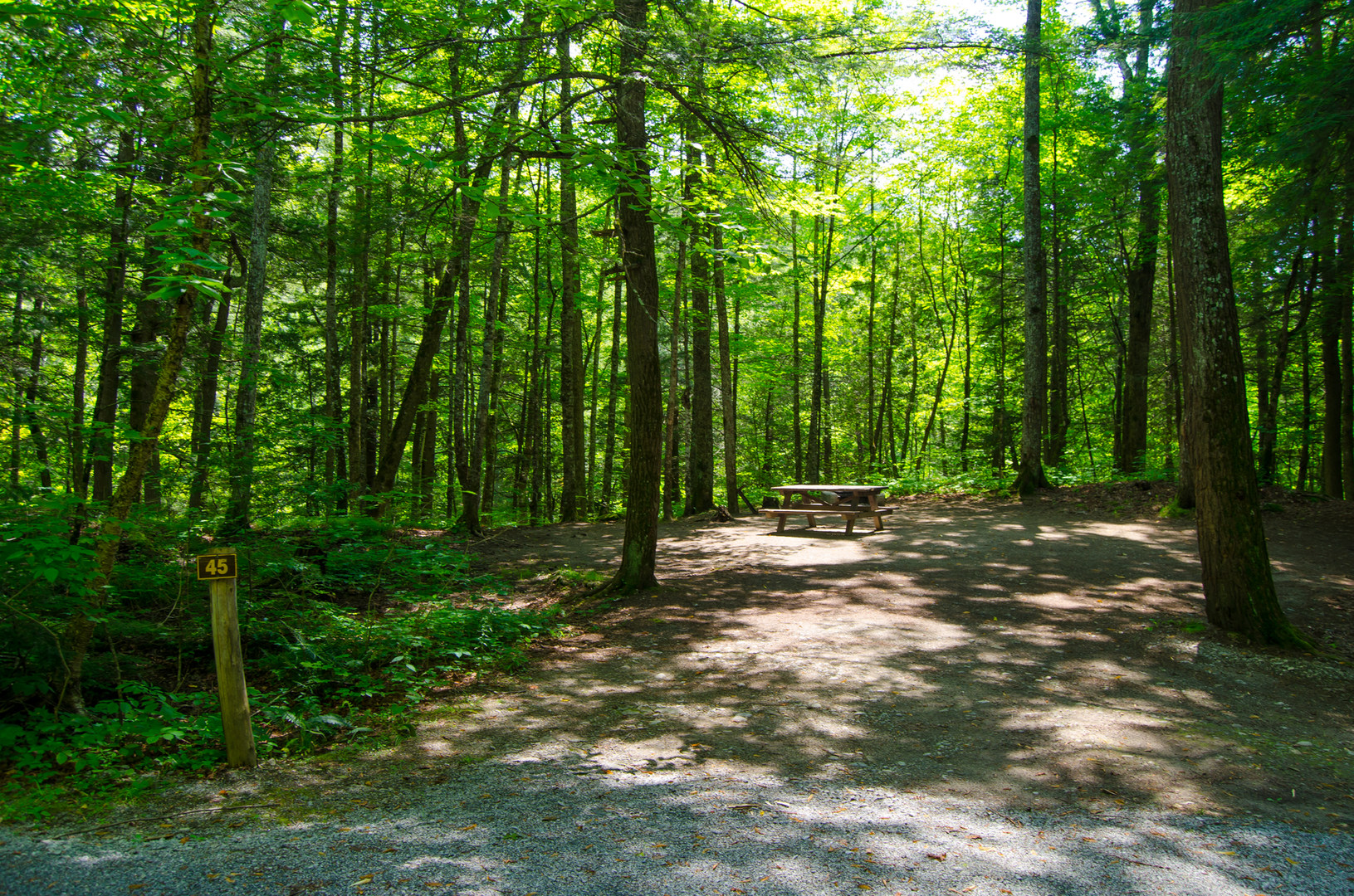 Paradox Lake Campground Outdoor Project