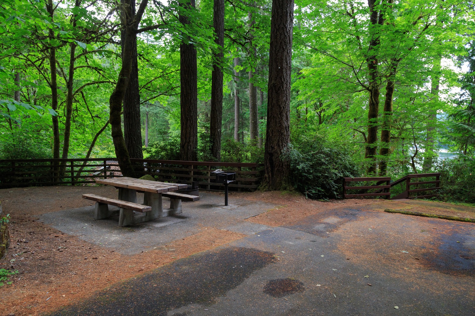 Loon Lake Recreation Site Campground Outdoor Project