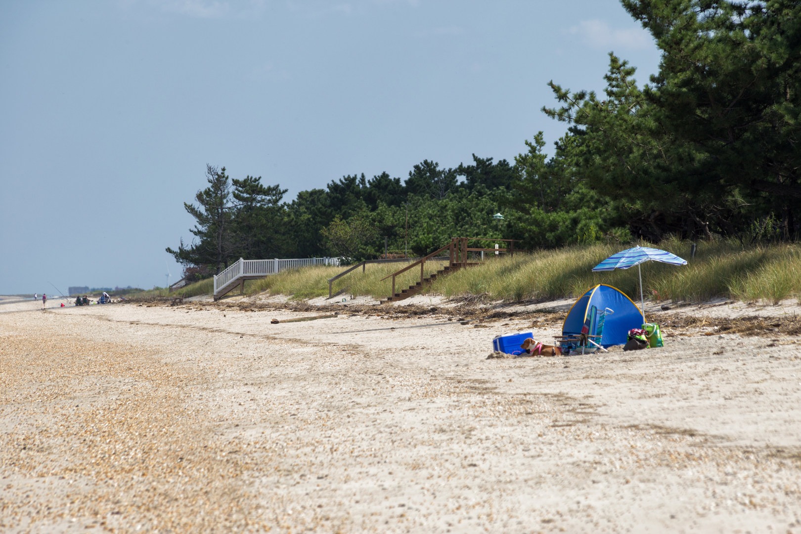 Slaughter Beach Outdoor Project