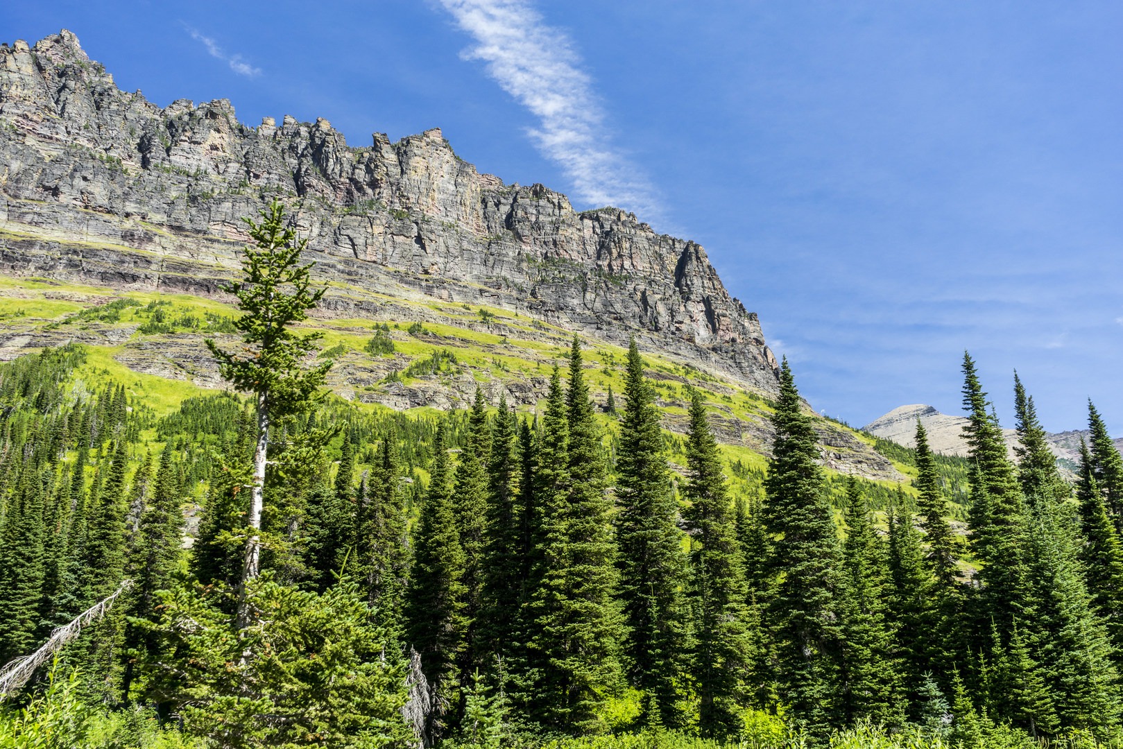 Upper Two Medicine Lake Campground Outdoor Project