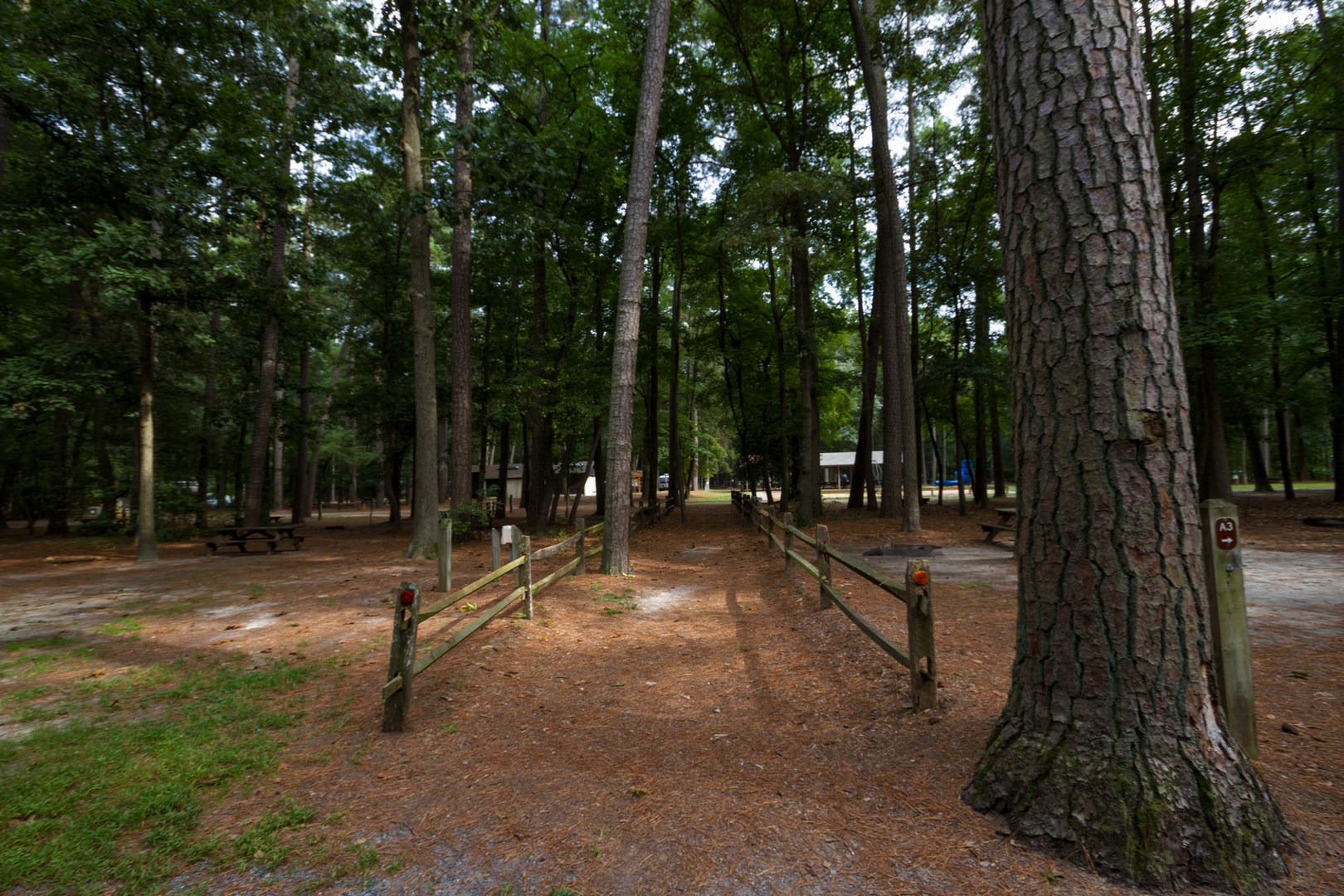 Trap Pond State Park Campground Outdoor Project