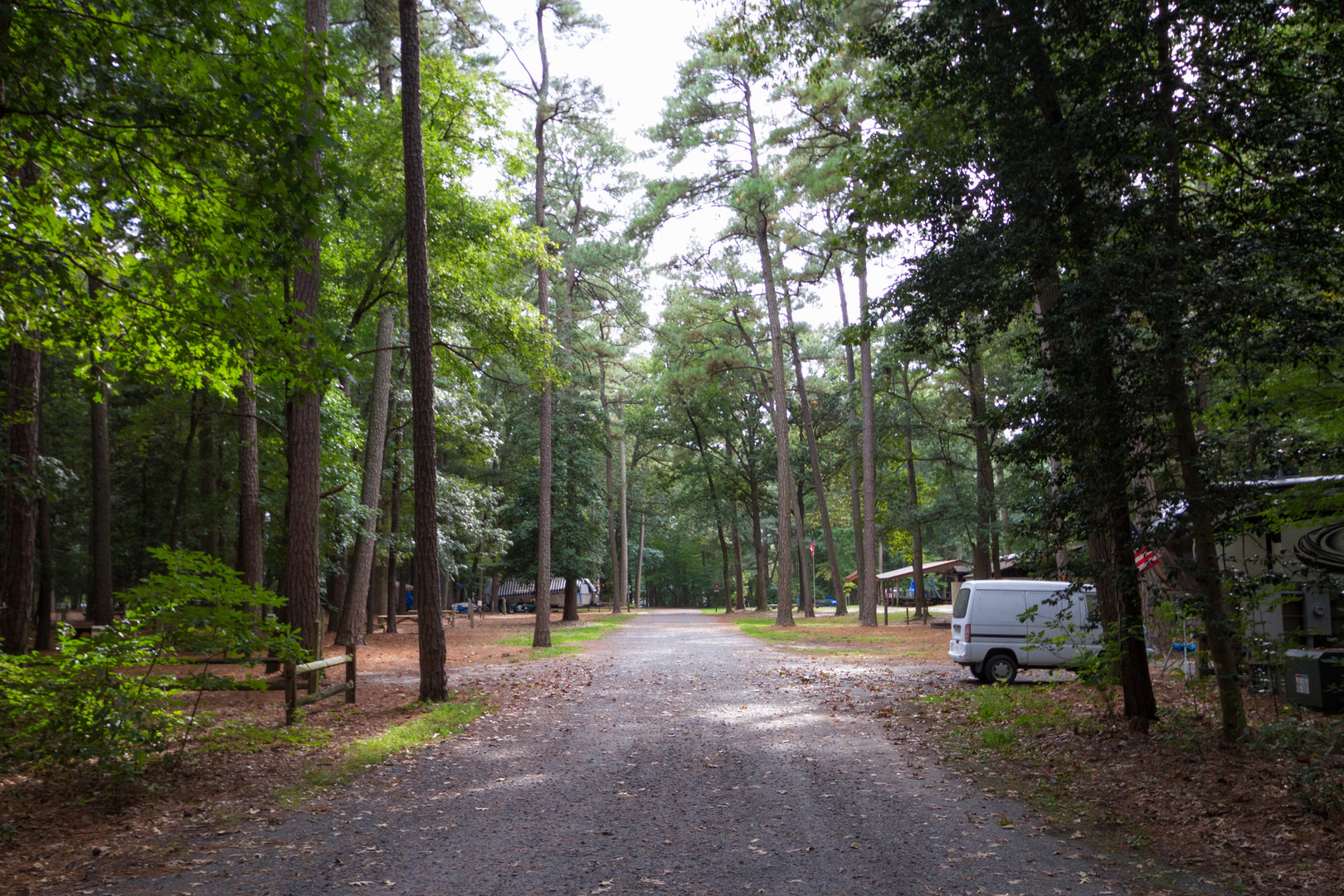 Trap Pond State Park Campground Outdoor Project