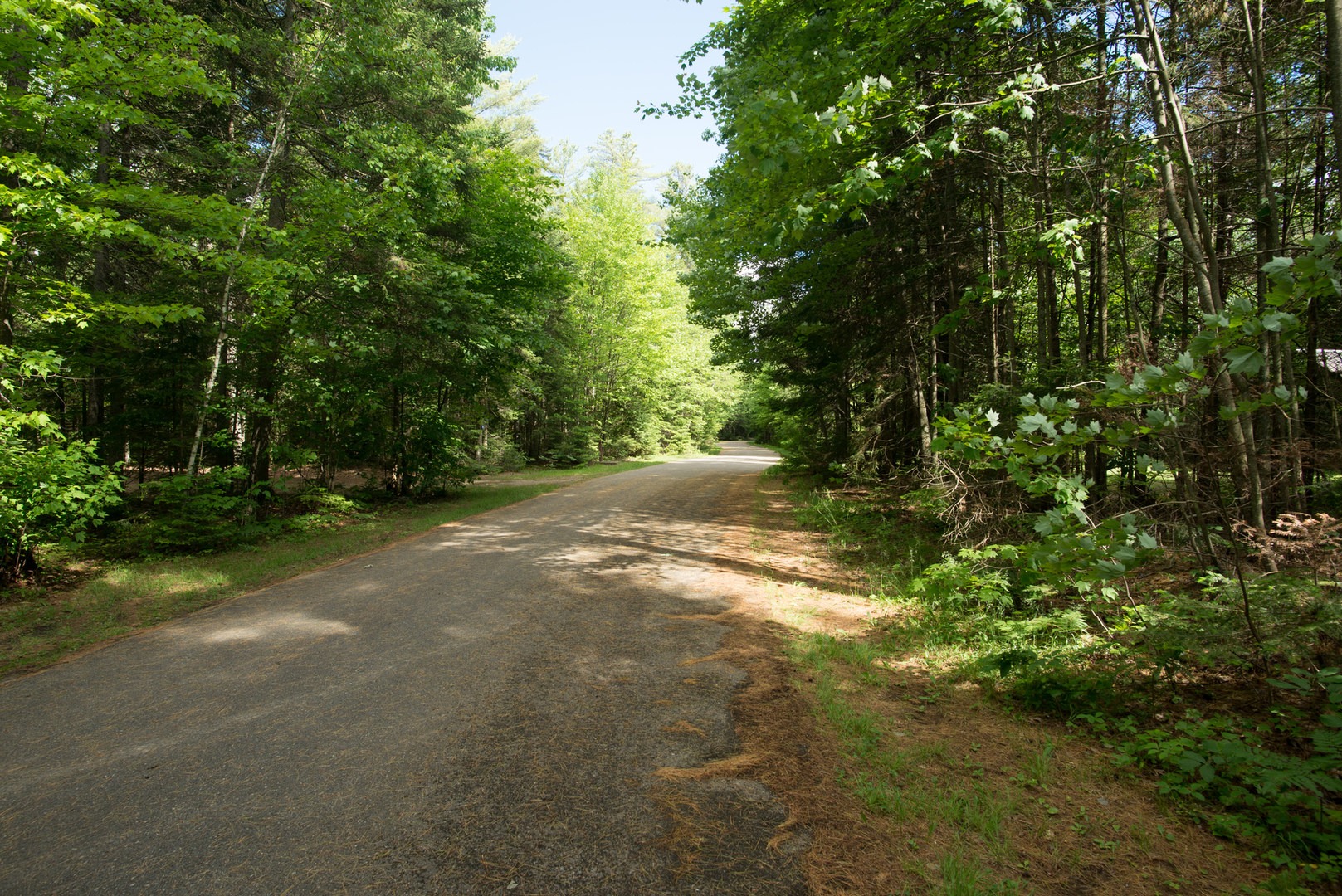 Rollins Pond Campground Outdoor Project