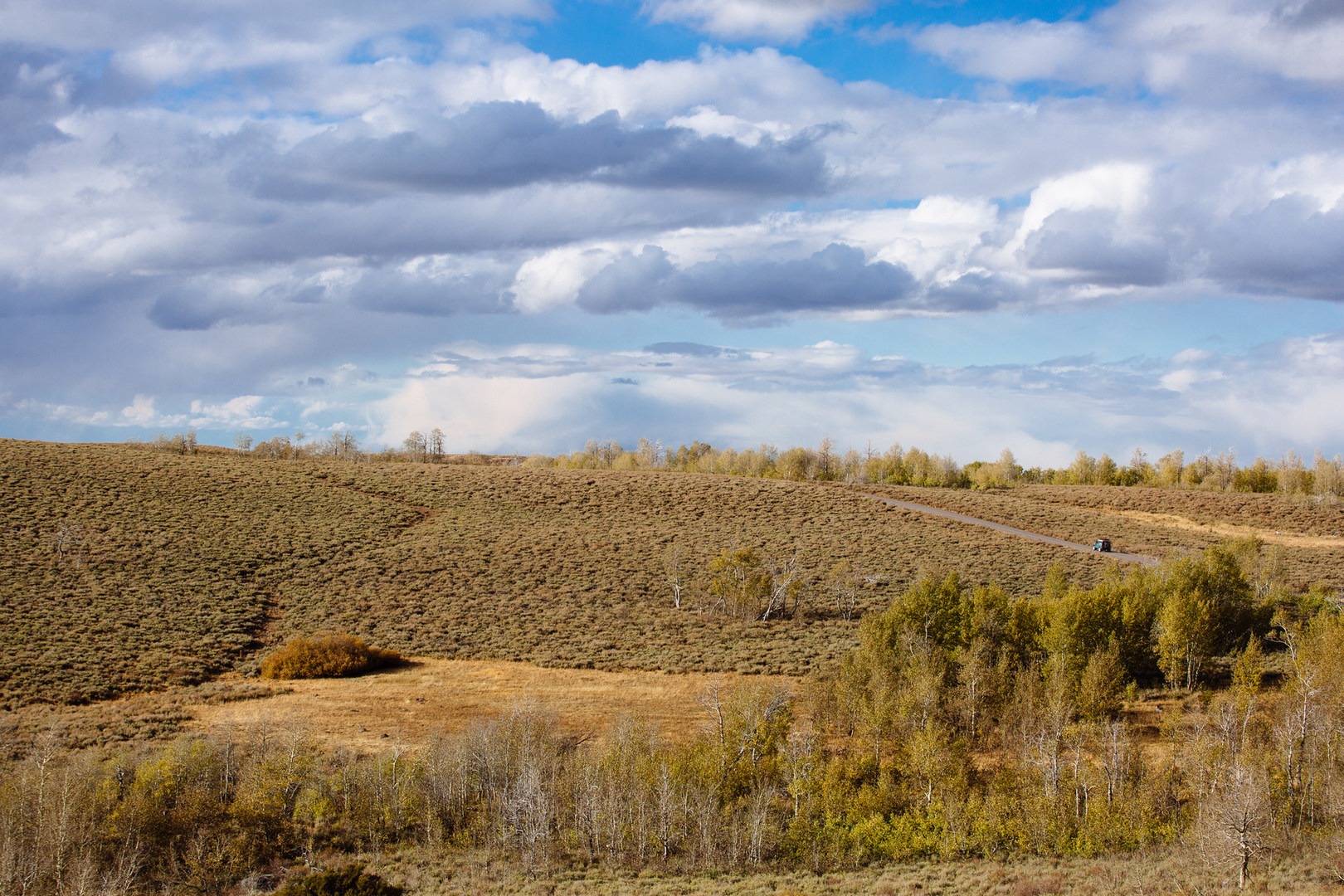 Steens Mountain Quaking Aspen Fall Foliage Outdoor Project