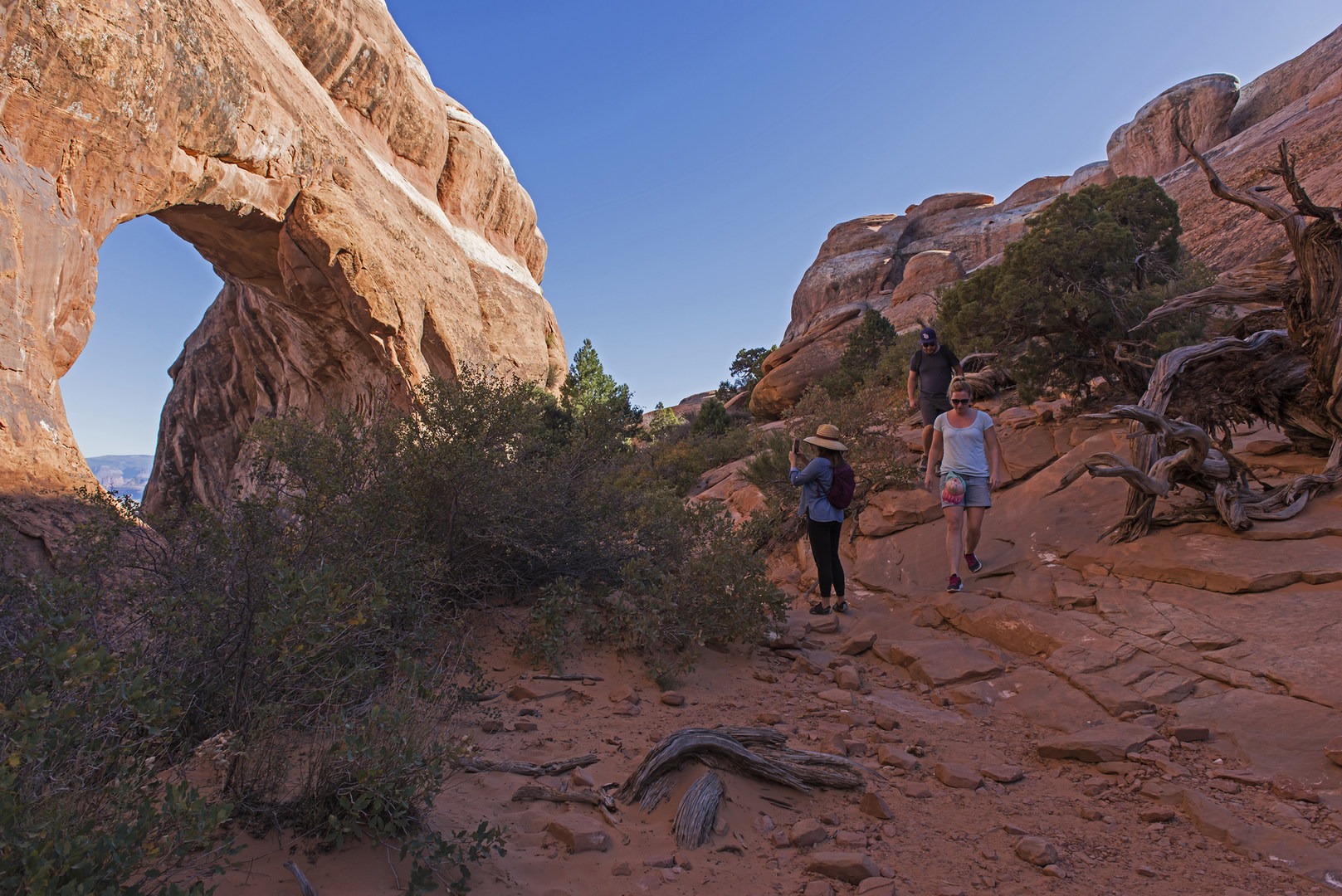 Partition Arch Outdoor Project