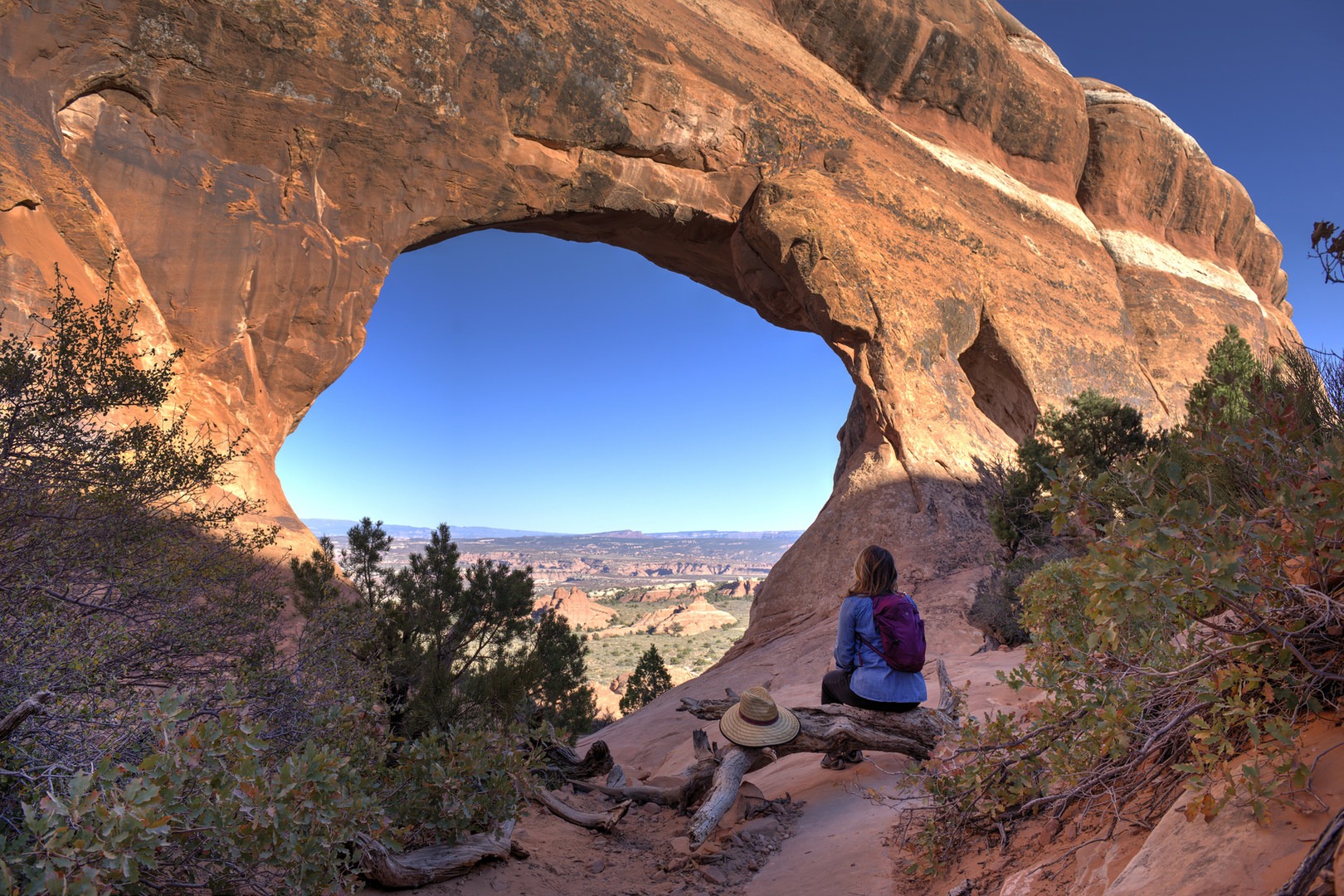 Partition Arch Outdoor Project