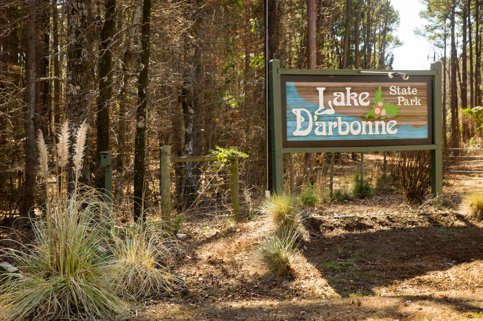 Lake D’Arbonne State Park Outdoor Project