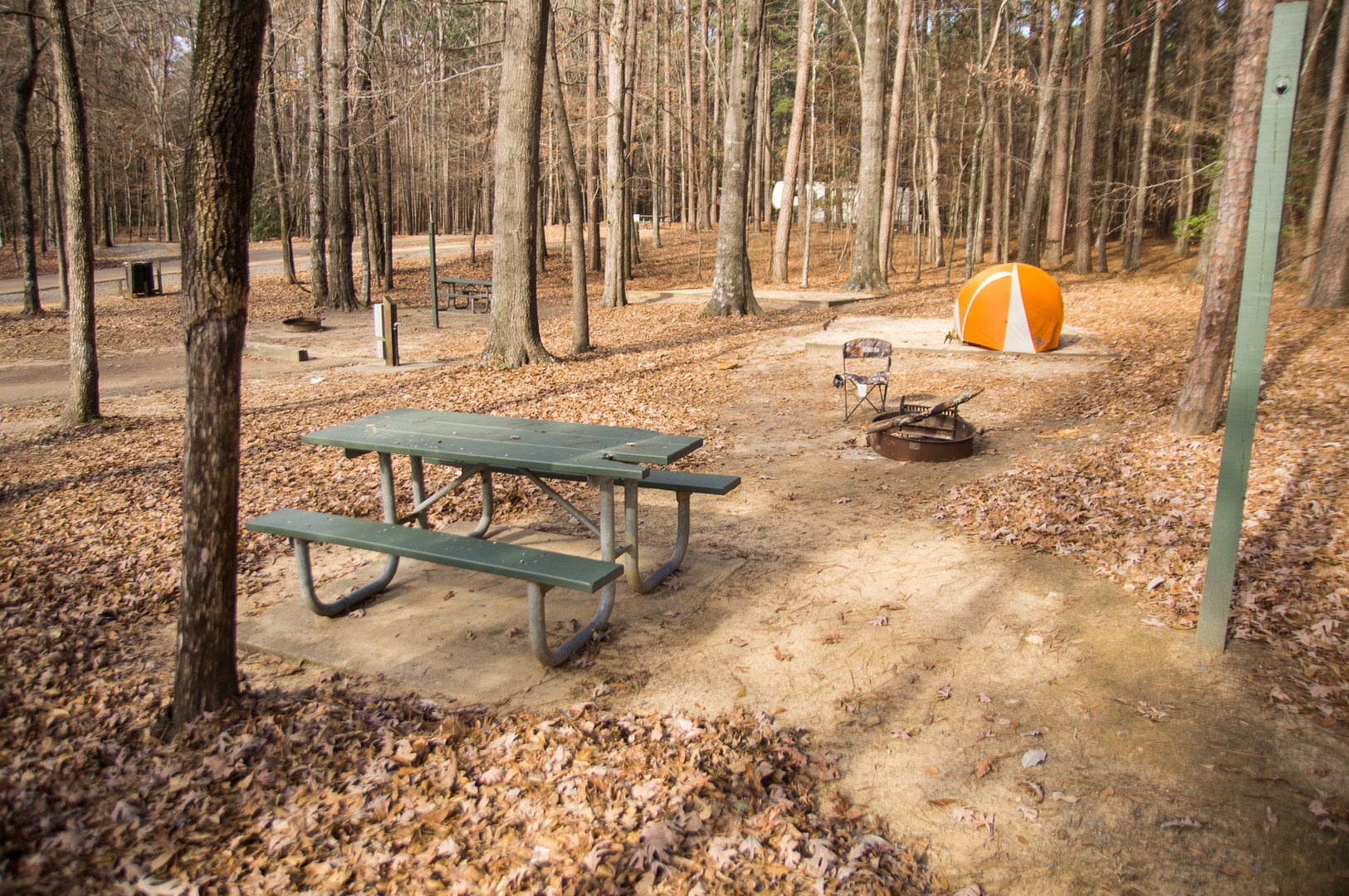 Lake D'Arbonne State Park Campground Outdoor Project
