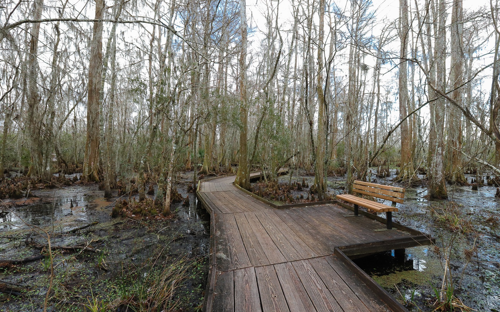 Jean Lafitte National Historical Park + Preserve Outdoor Project