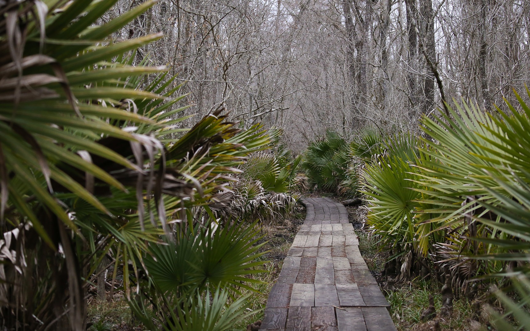 Jean Lafitte National Historical Park + Preserve Outdoor Project