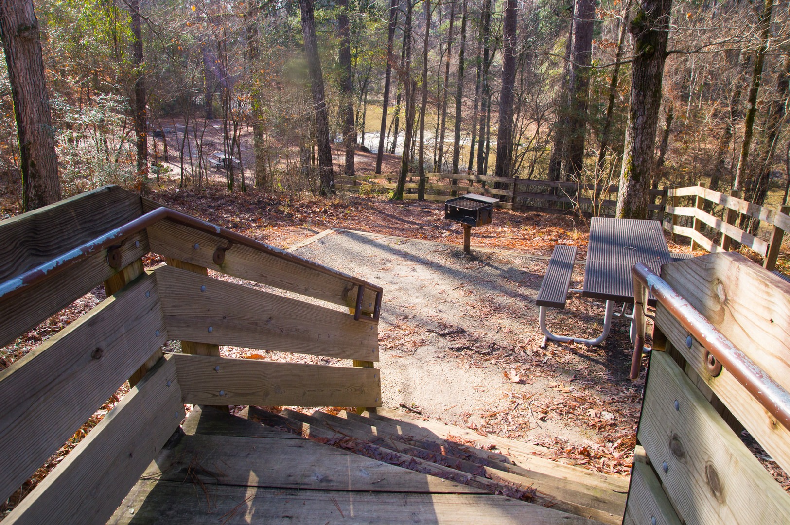 Kisatchie Bayou Campground Outdoor Project