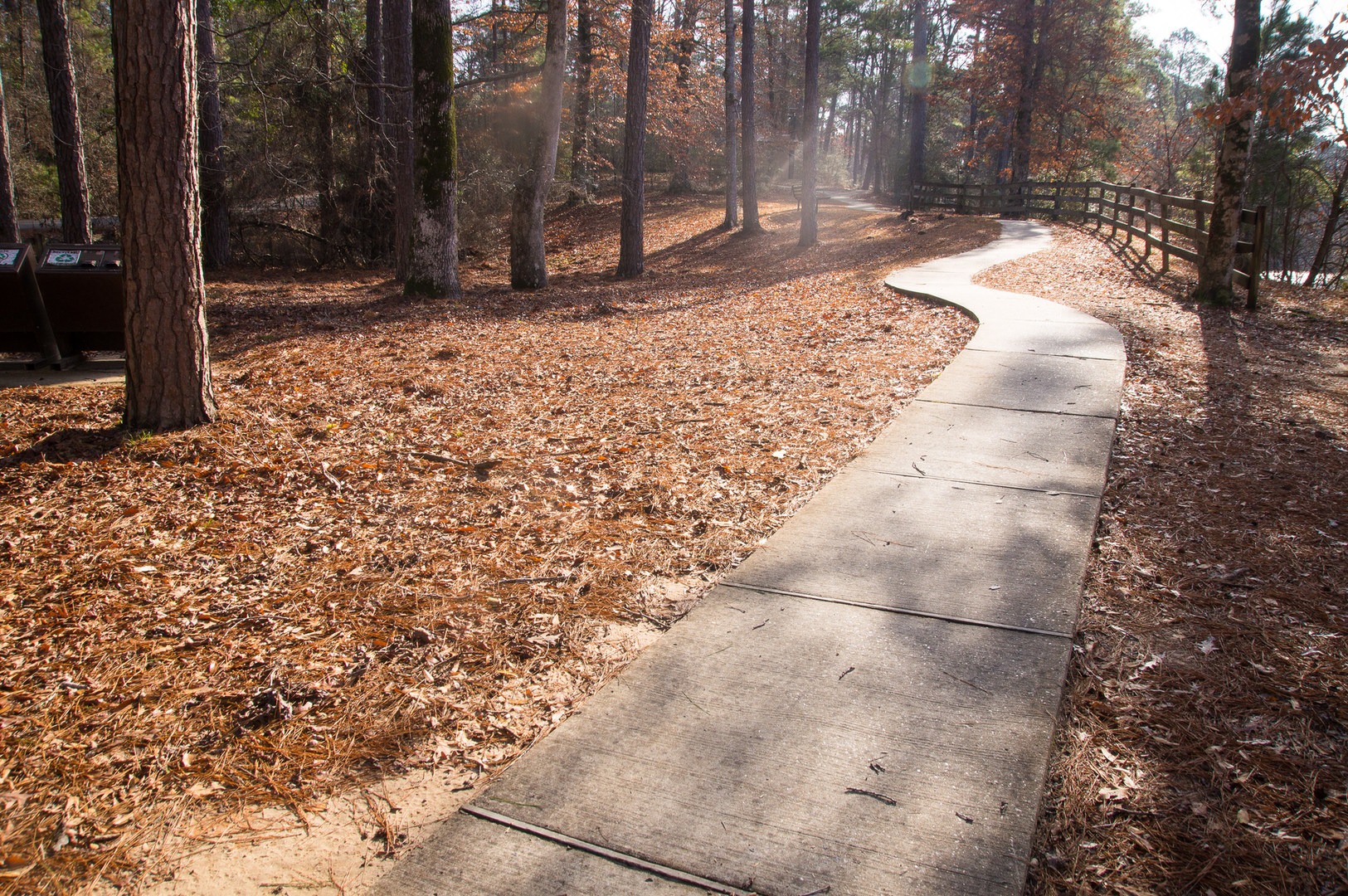 Kisatchie Bayou Campground Outdoor Project