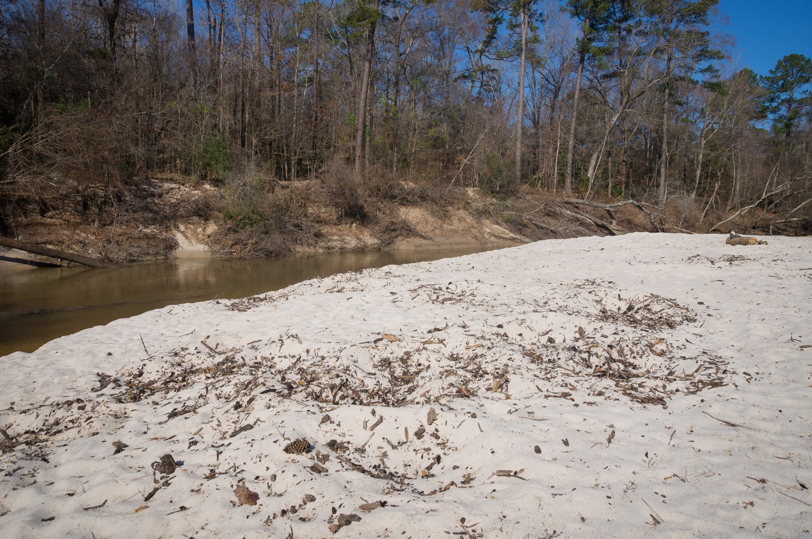 Kisatchie Bayou Campground Outdoor Project