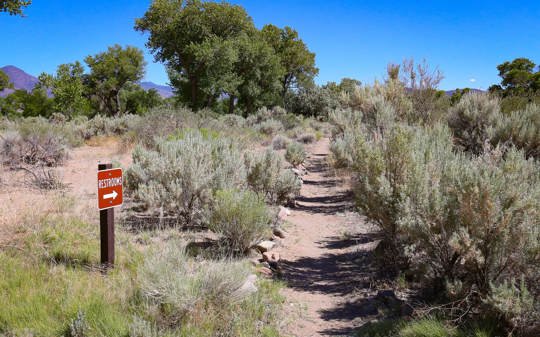 Dayton State Park Campground Outdoor Project