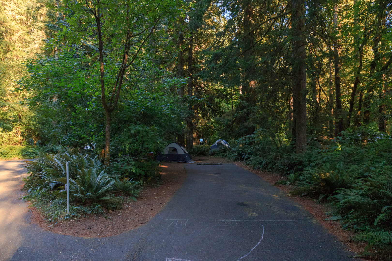 Cresap Bay Recreation Area Campground Outdoor Project