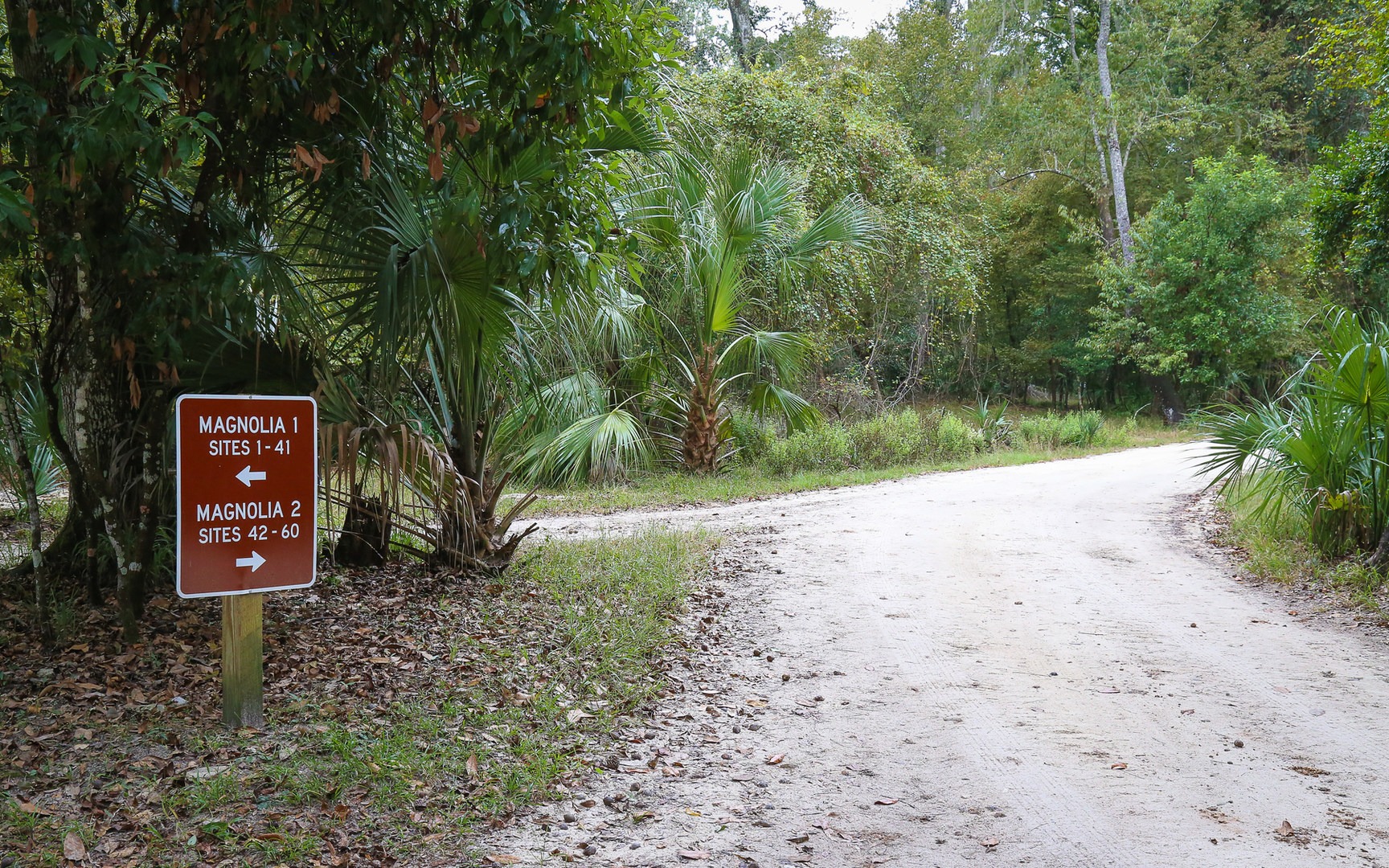 Manatee Springs State Park Campground | Outdoor Project