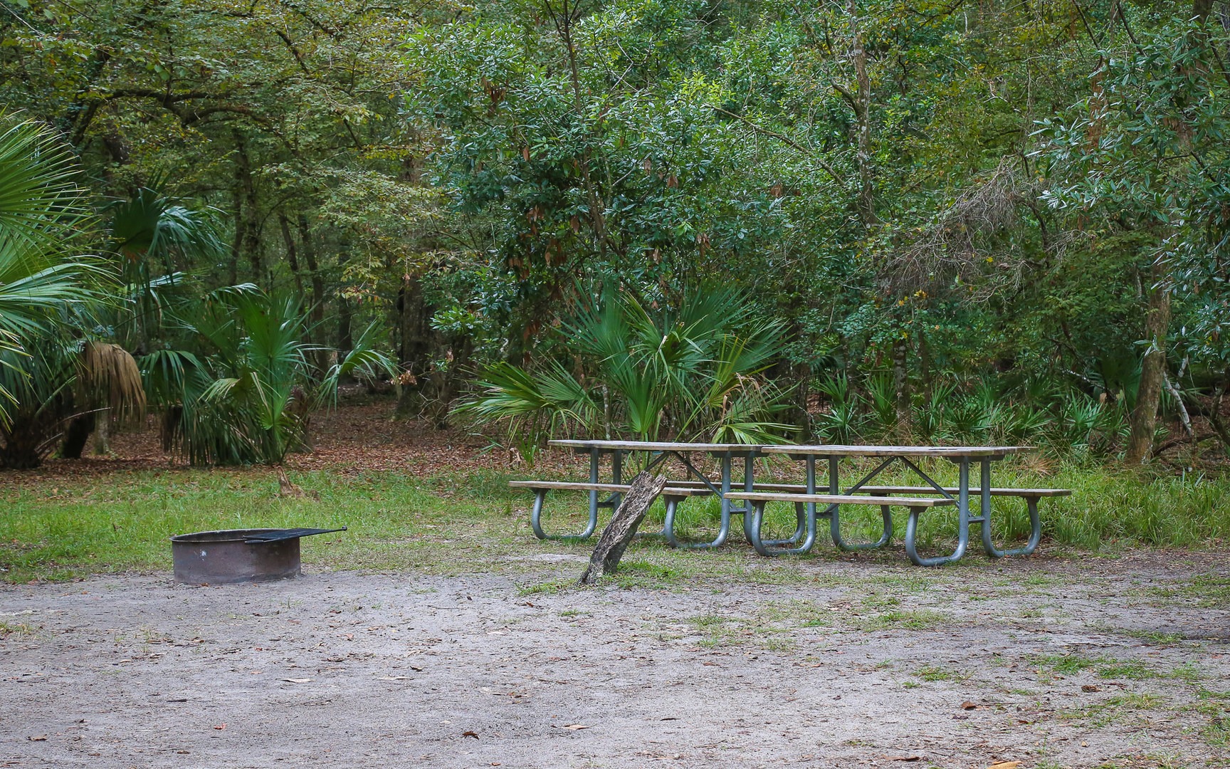 Manatee Springs State Park Campground | Outdoor Project