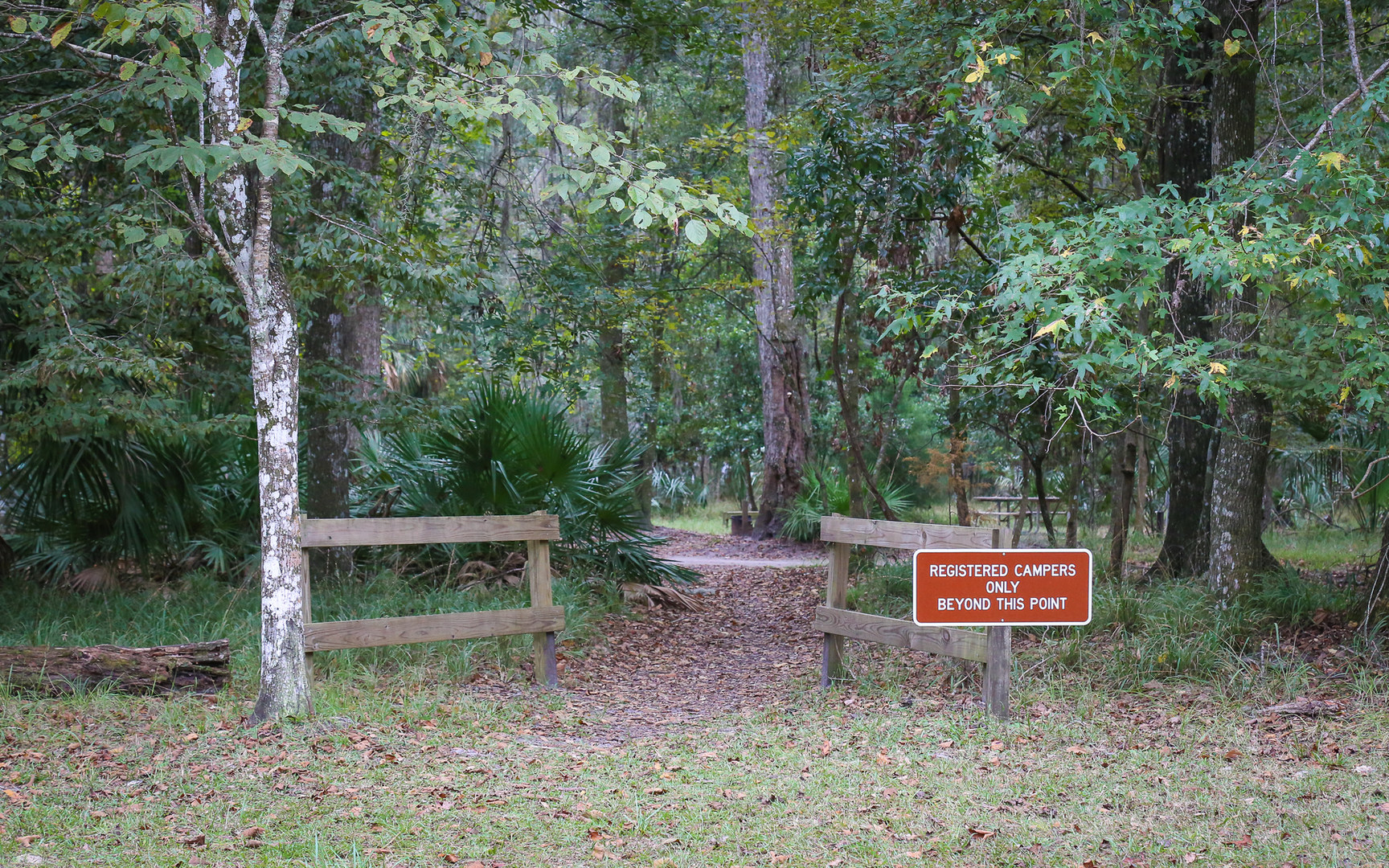 Manatee Springs State Park Campground | Outdoor Project