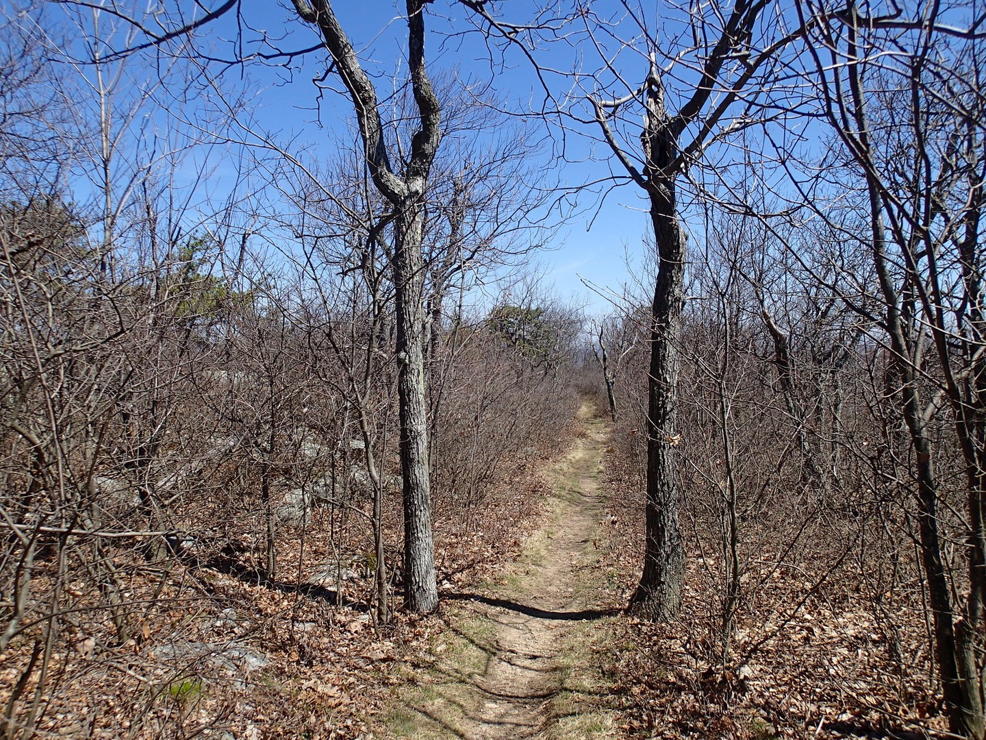 Shawangunk Ridge Trail High Point Section Outdoor Project