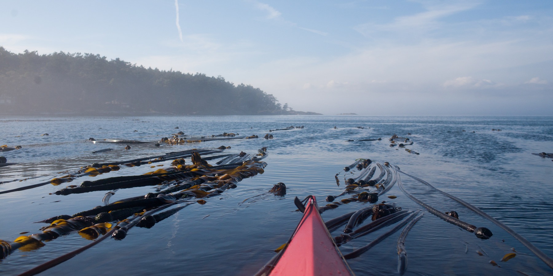50 of Washington's Best Sea Kayaking Adventures Outdoor Project