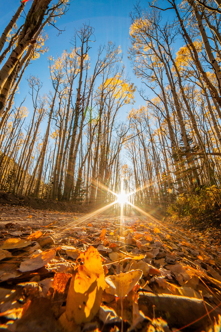 9 Stunning Scenic Drives in Colorado Outdoor Project