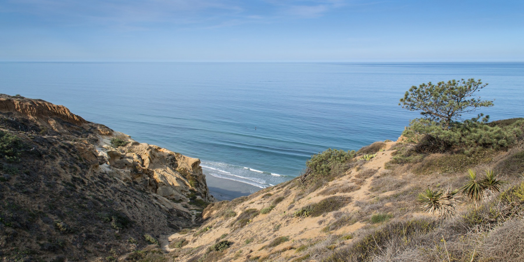 Hikes With Ocean Views Near Me | ReGreen Springfield
