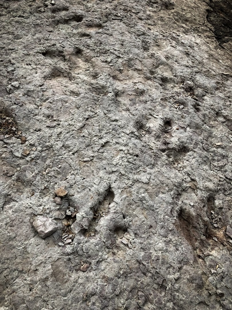 Zion National Park Outdoor Project