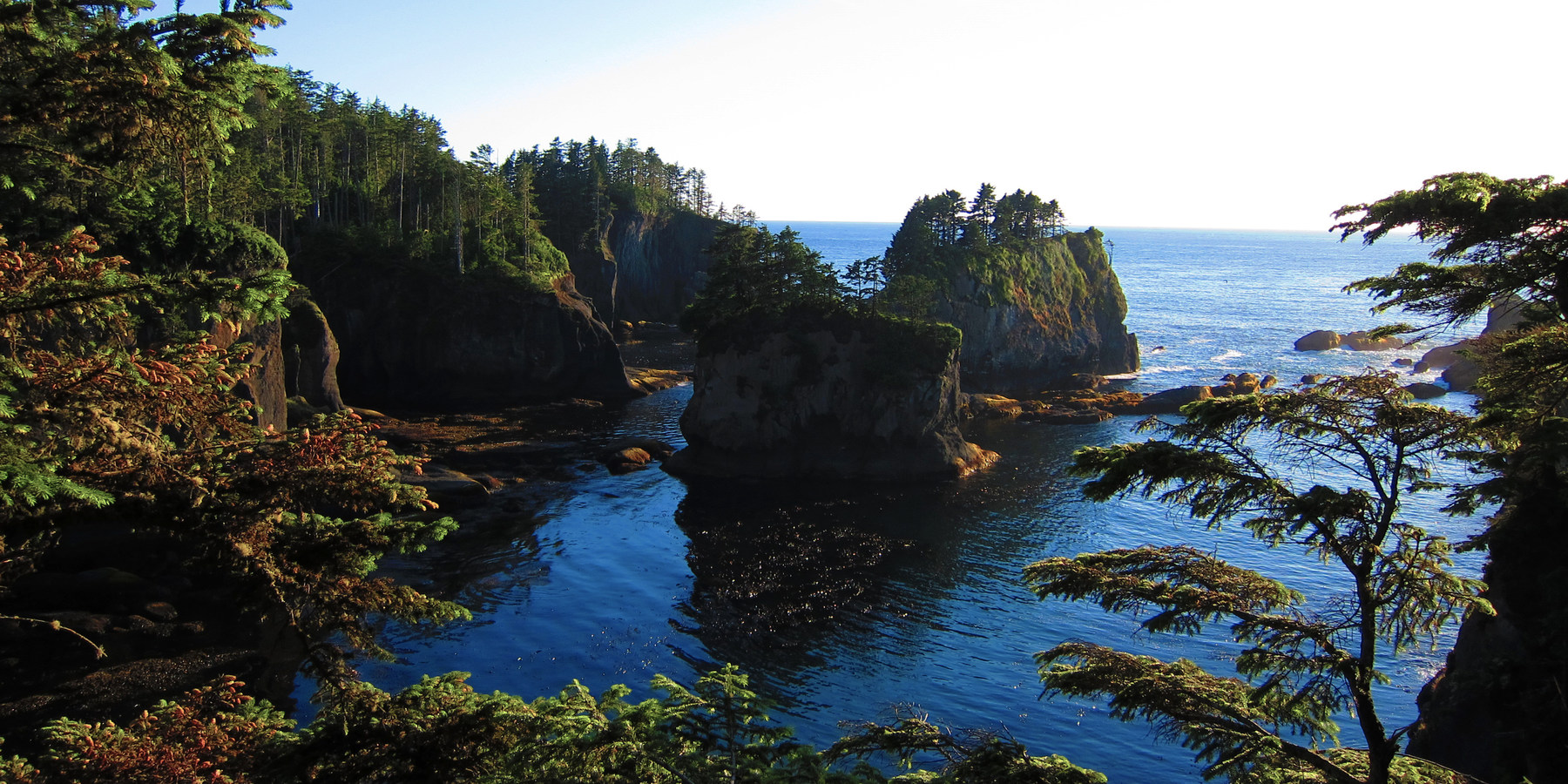16 Best Hikes on the Washington Coast - Outdoor Project