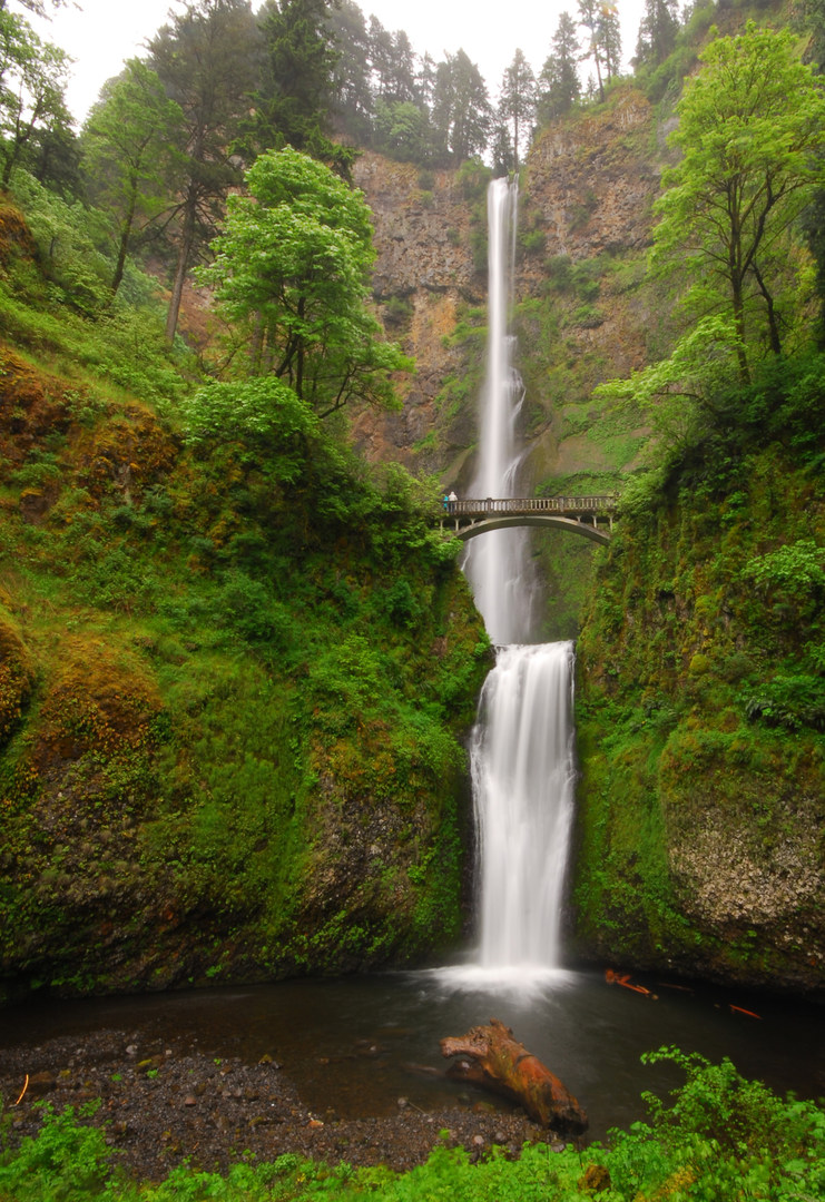 30 Favorite Hikes Near Portland - Outdoor Project