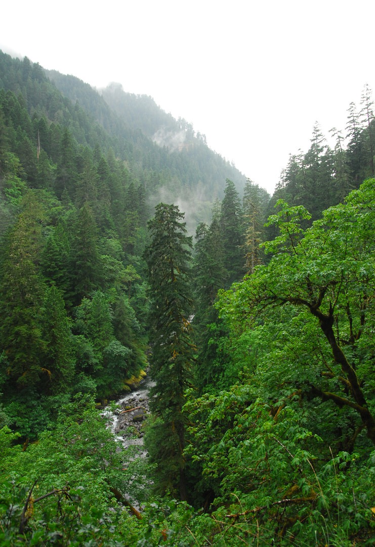 Oregon's Best Backpacking Trips Outdoor Project