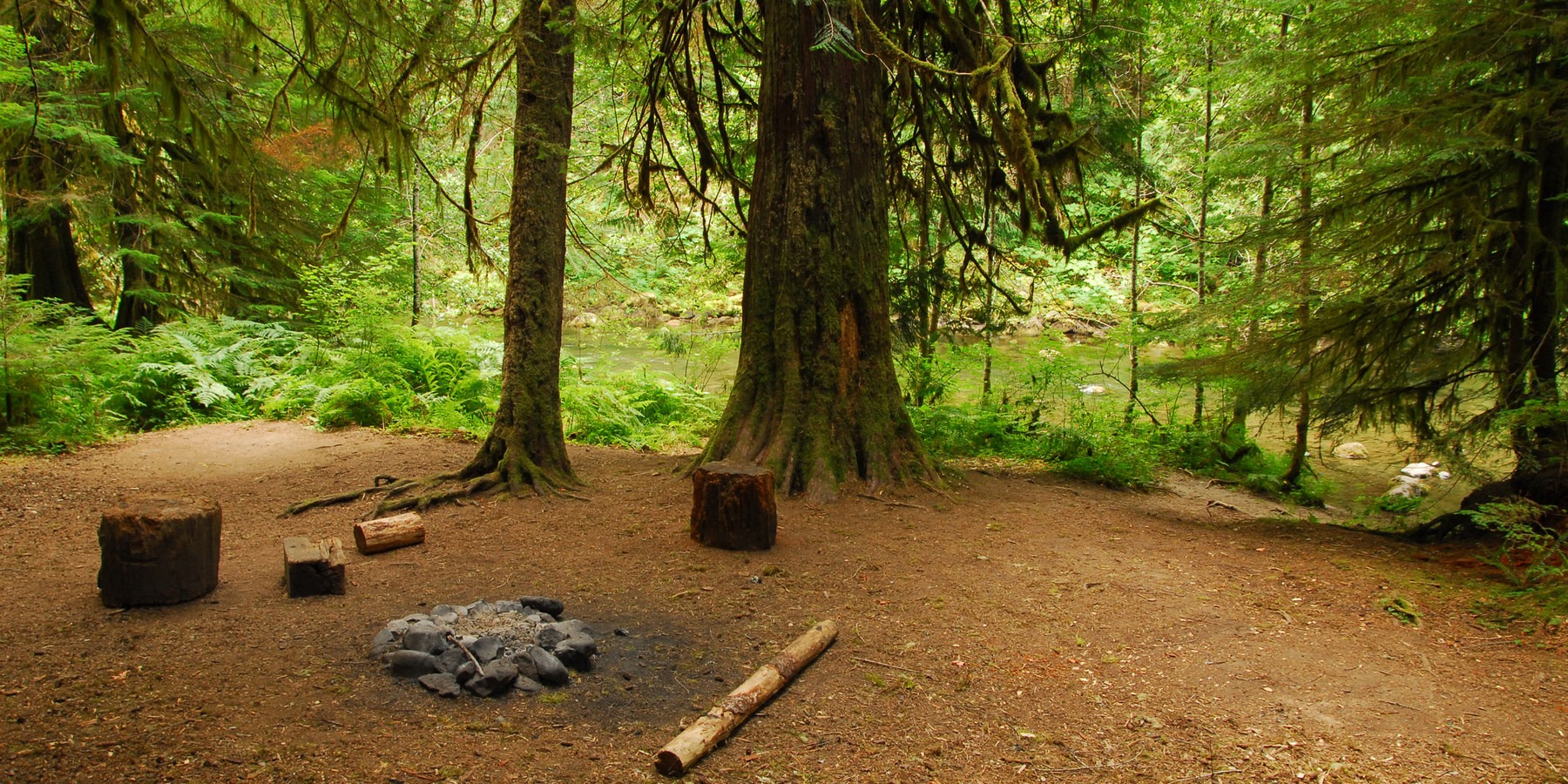 Oregon's Best Backpacking Trips Outdoor Project