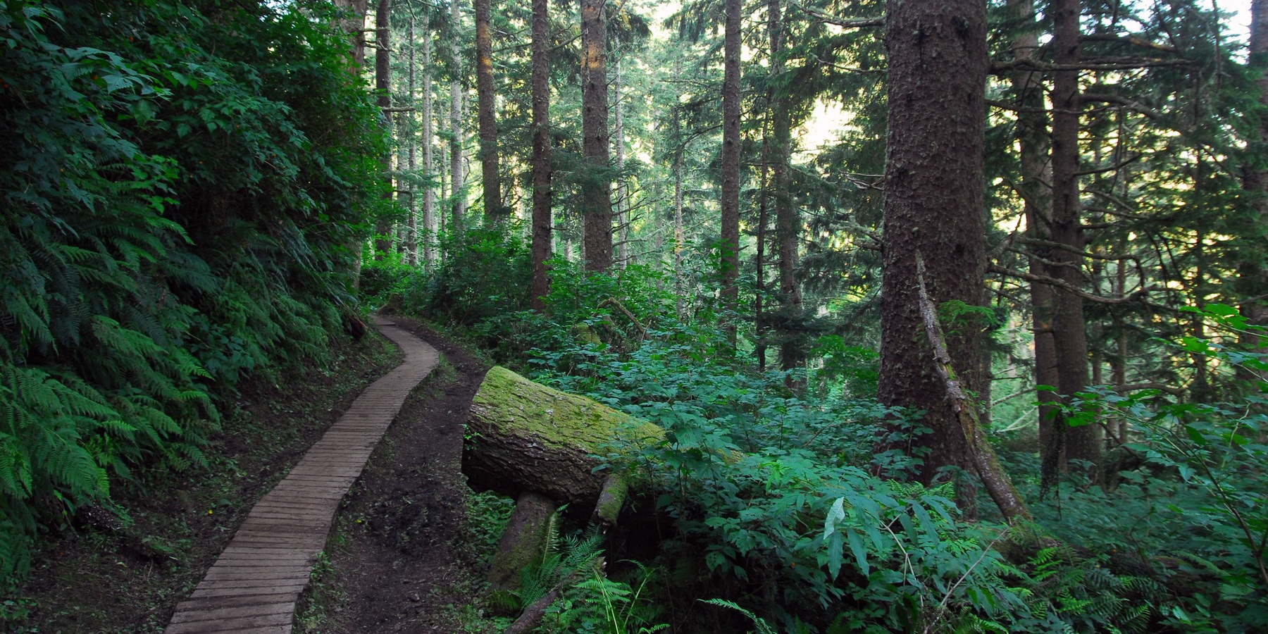 Best Hikes on the Northern Oregon Coast - Outdoor Project