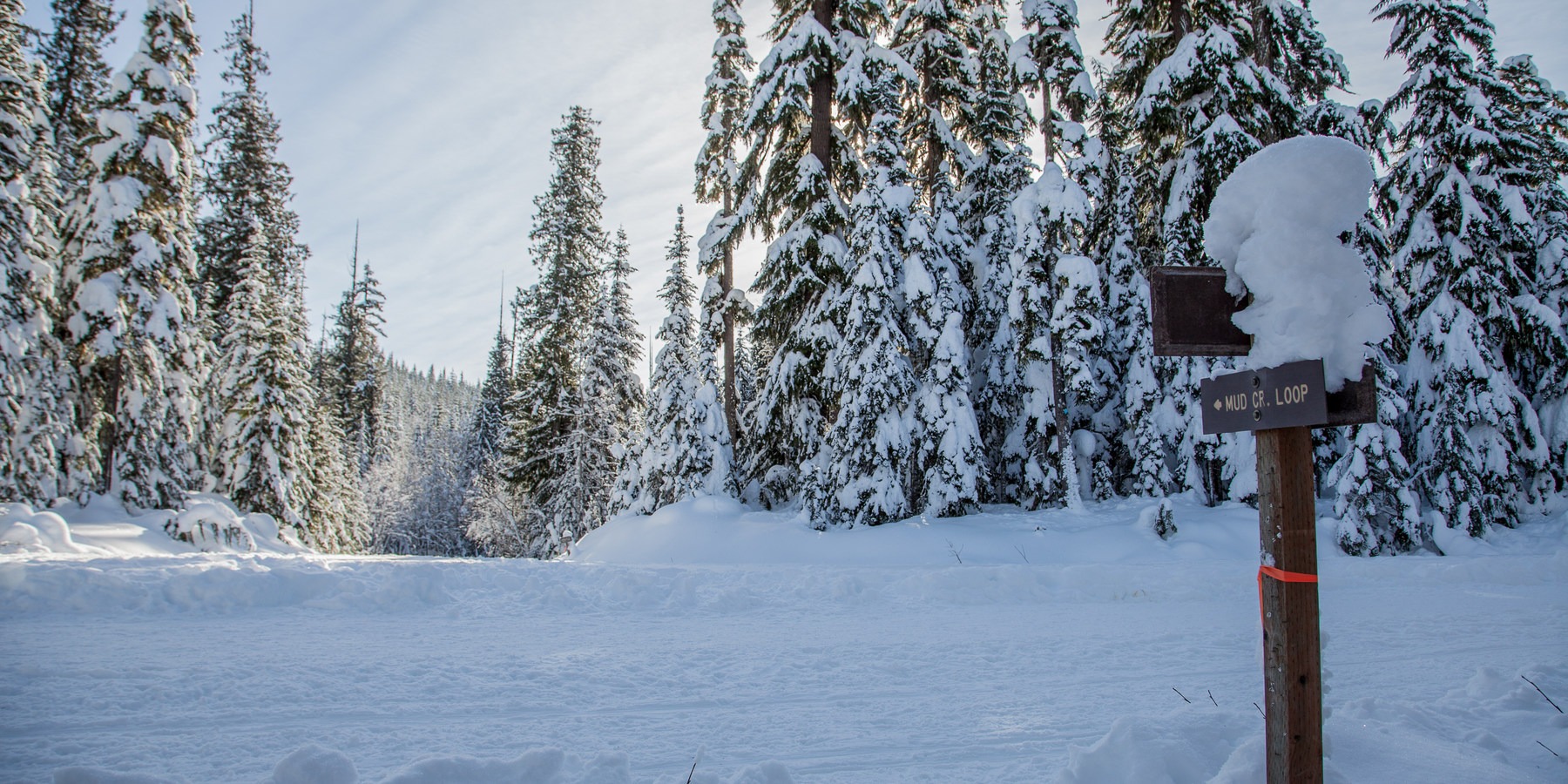 10 Amazing Snowshoe Trails in Oregon Outdoor Project