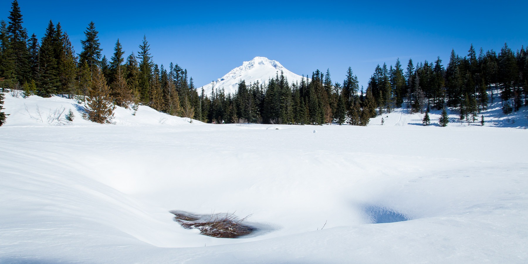 Snowshoeing on Mount Hood Outdoor Project
