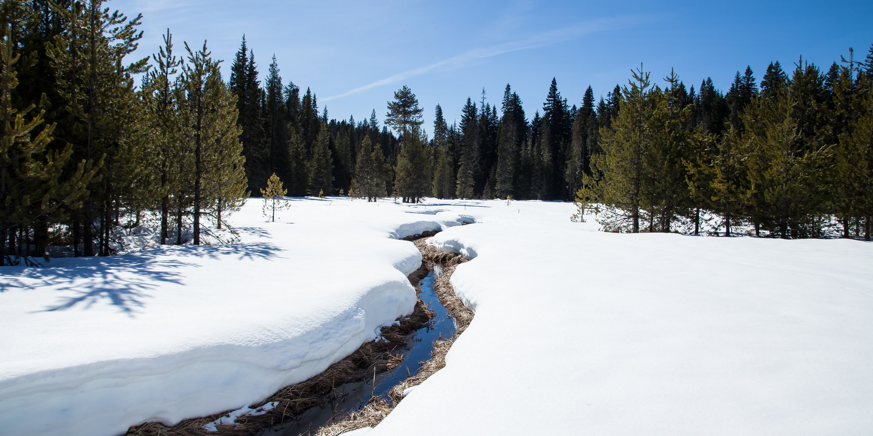 Snowshoeing on Mount Hood Outdoor Project