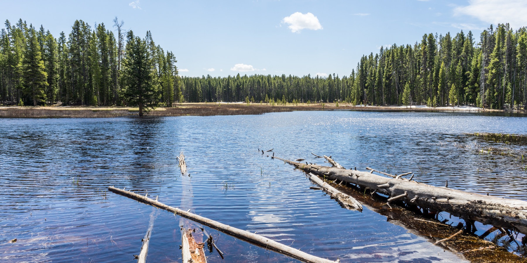 6 Best Backpacking Trips in Yellowstone National Park Outdoor Project
