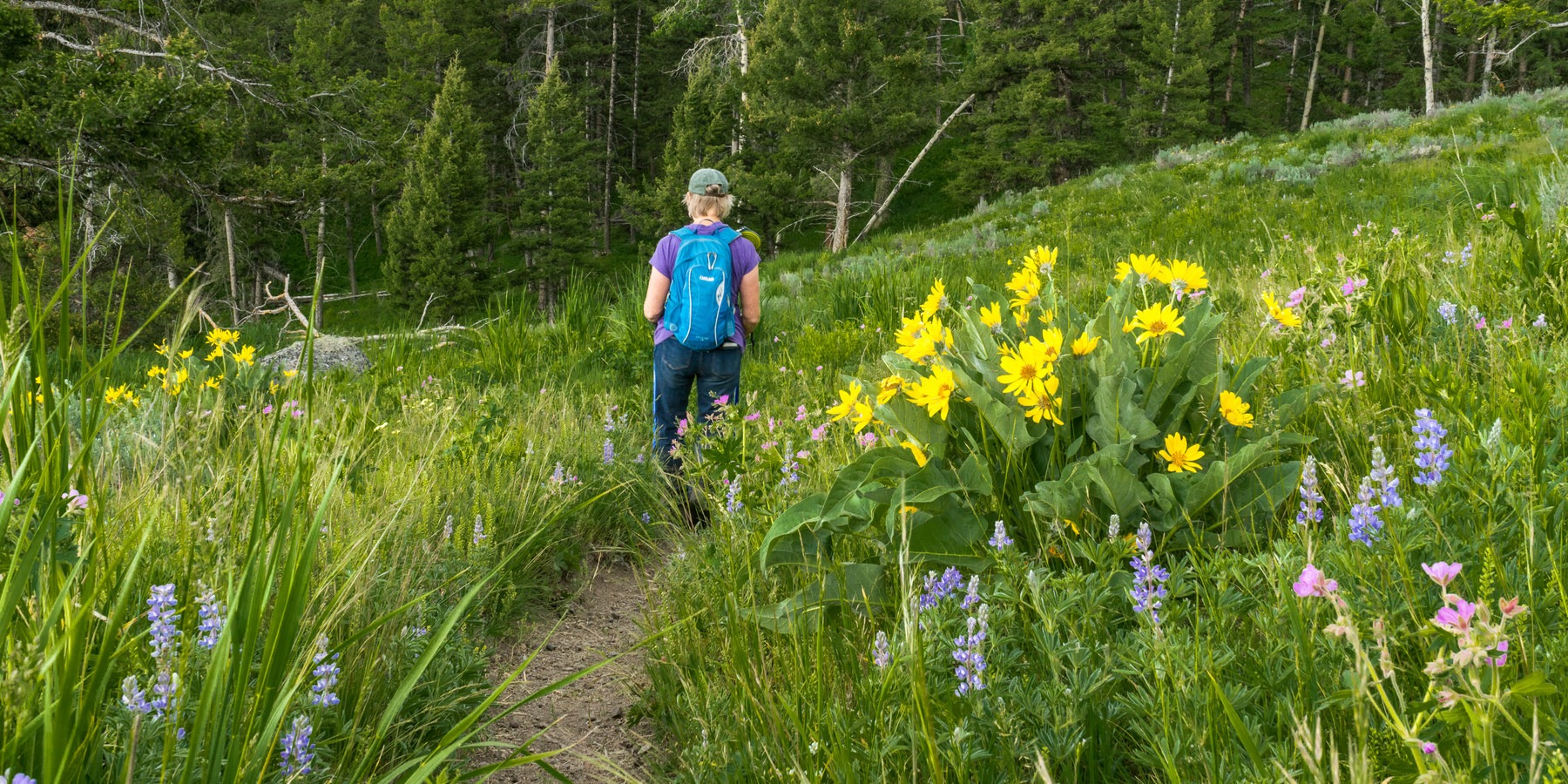 10 Best Day Hikes in Yellowstone National Park Outdoor Project