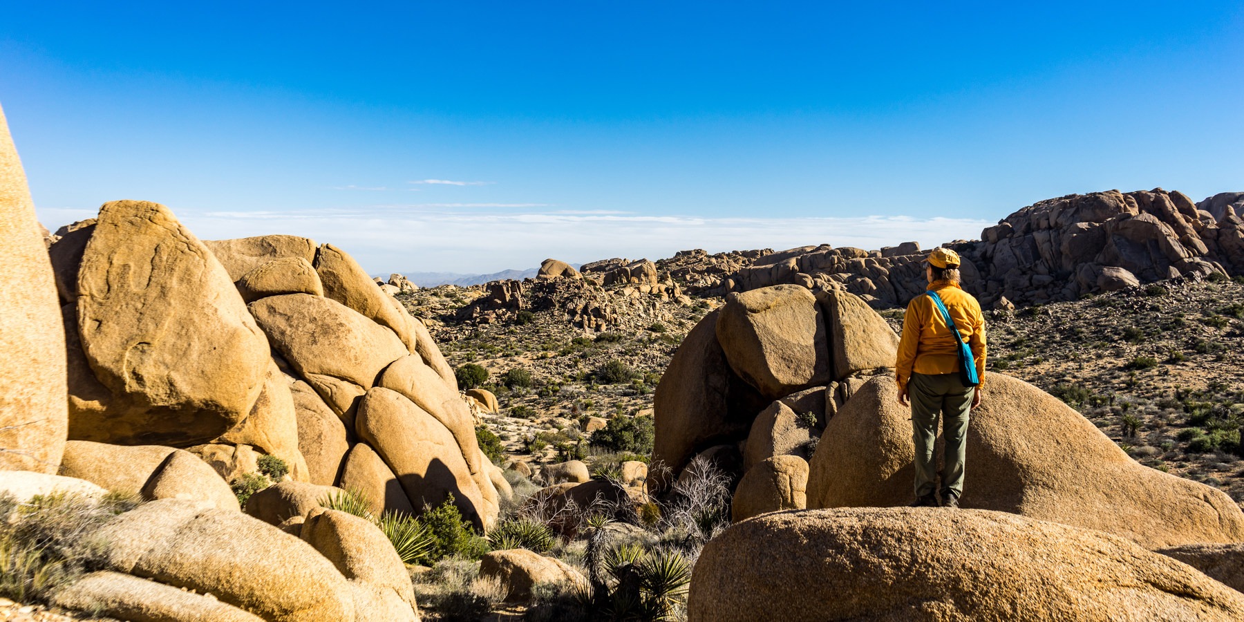 11 Best Day Hikes in Joshua Tree National Park Outdoor Project