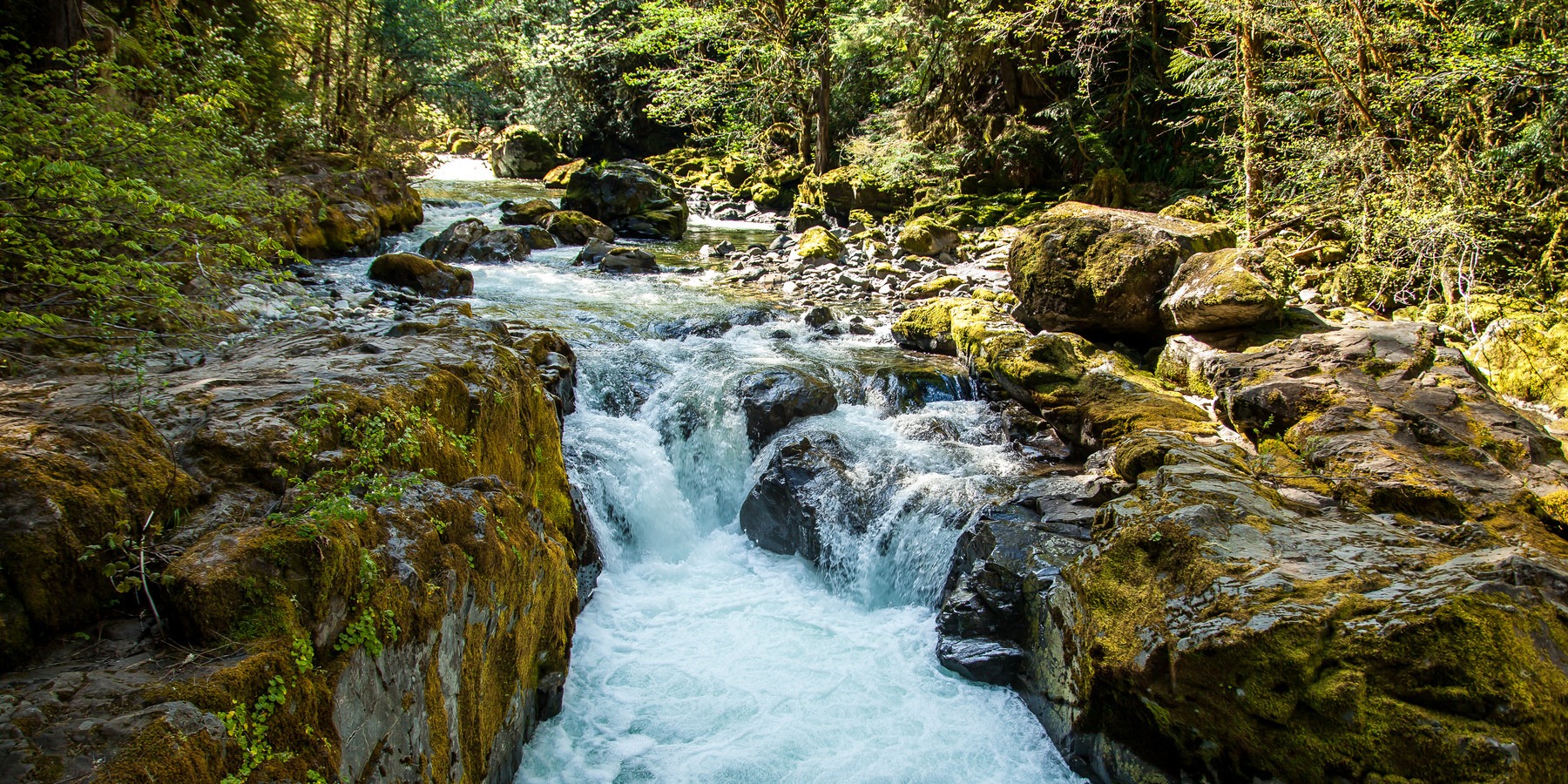 10 Classic Hikes Near Eugene, Oregon - Outdoor Project