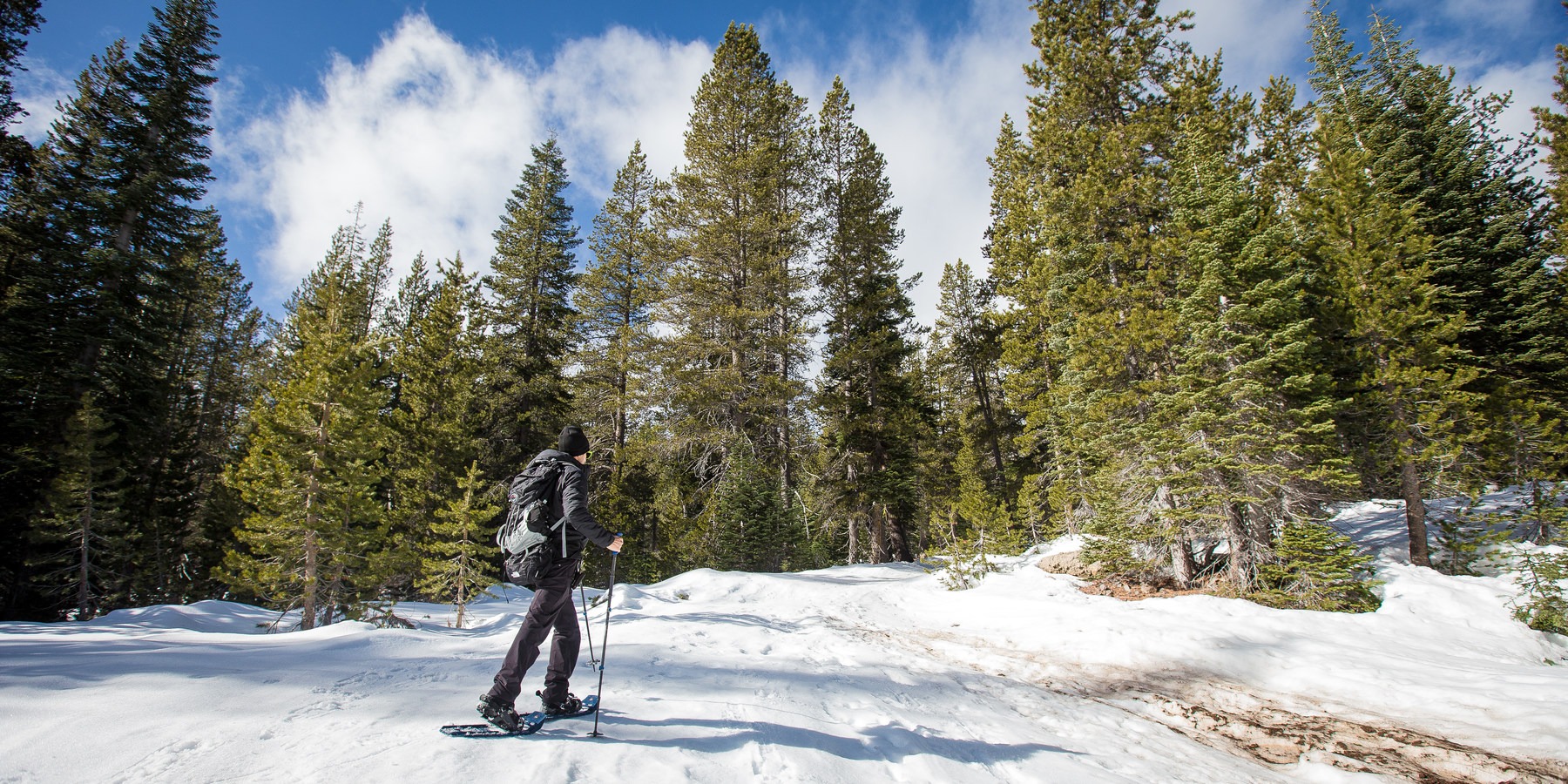 Best Snowshoe Trails in Tahoe's Backcountry - Outdoor Project