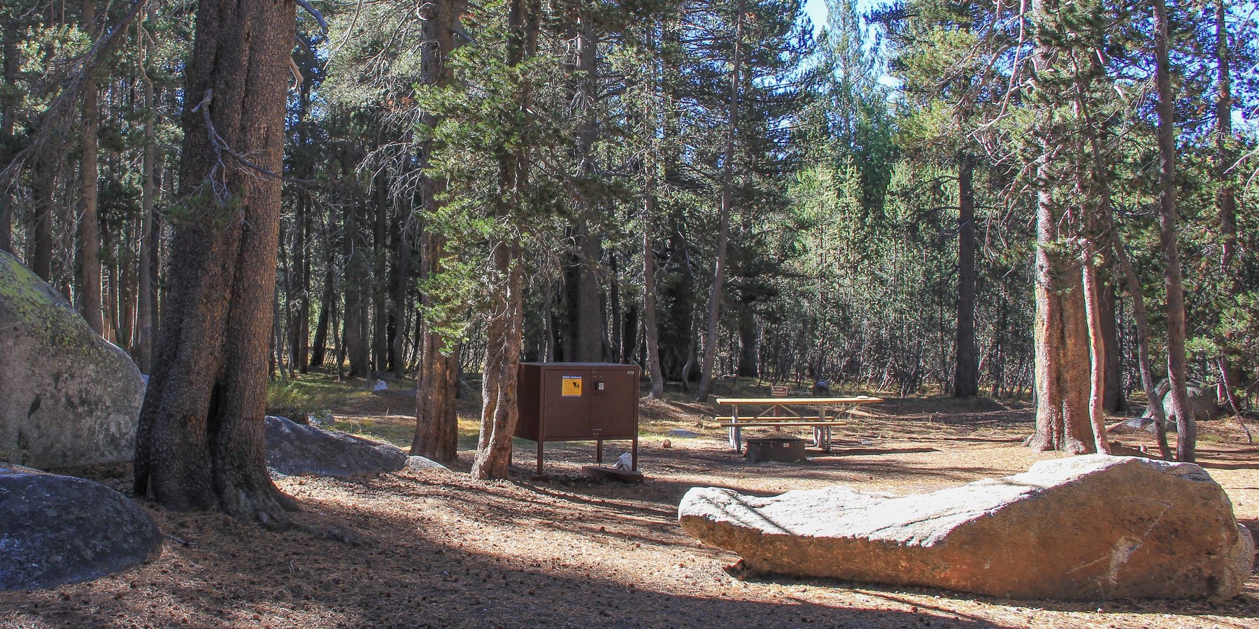 Guide to Camping in Yosemite National Park Outdoor Project