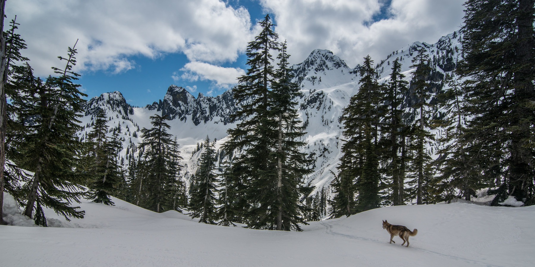 Backcountry Skiing in Washington Outdoor Project