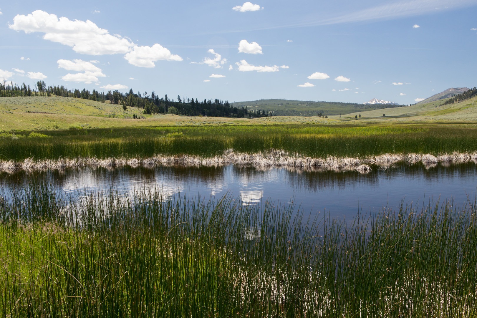 10 Best Day Hikes in Yellowstone National Park Outdoor Project
